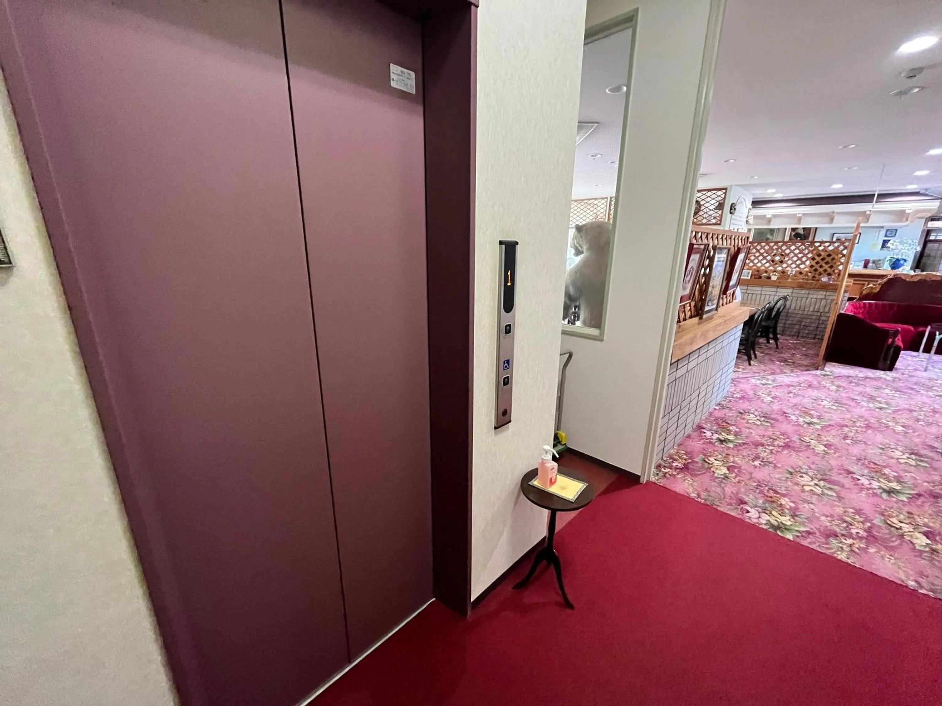 Area and facilities in Hotel Sunny Valley