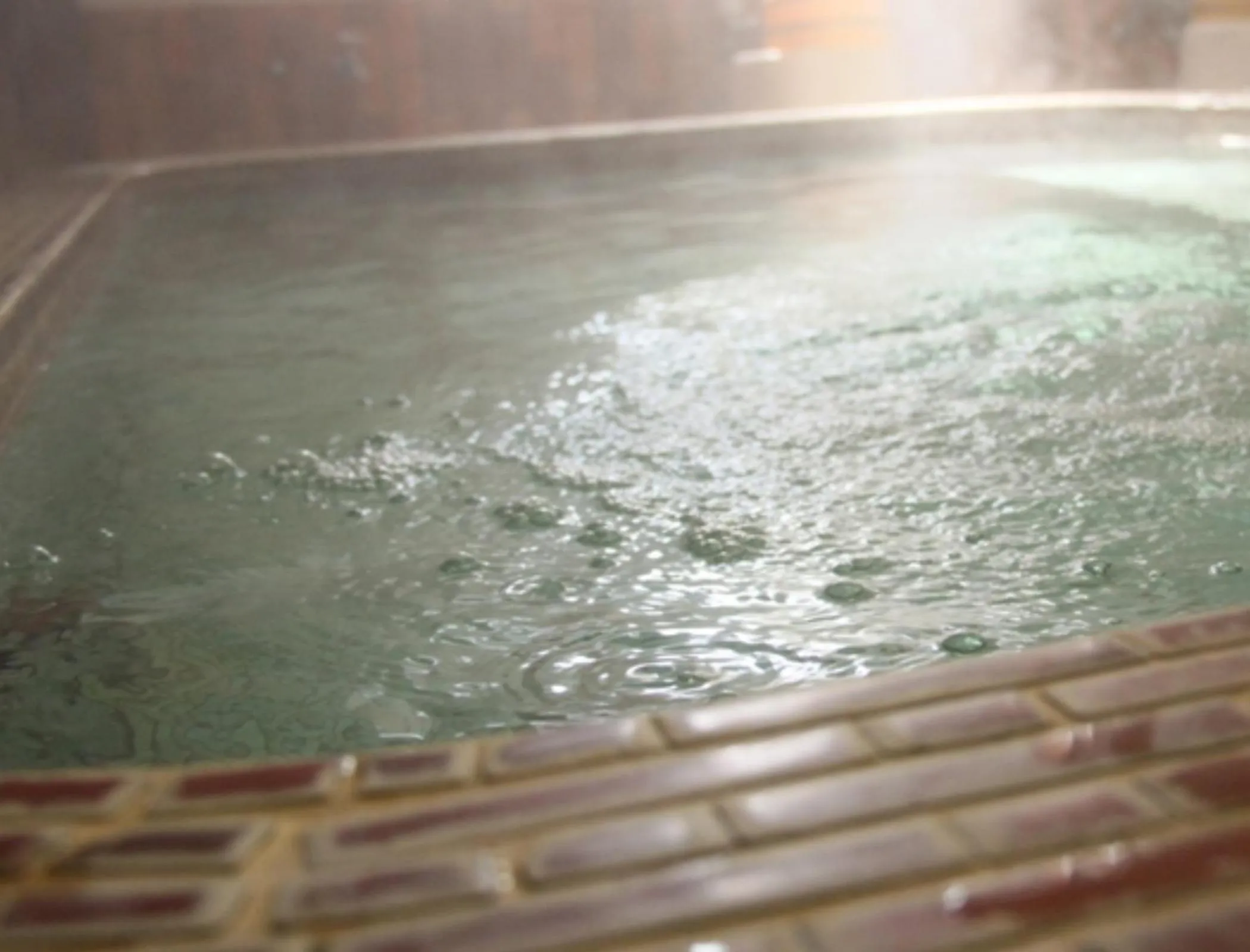 Hot Spring Bath in Hotel Sunny Valley
