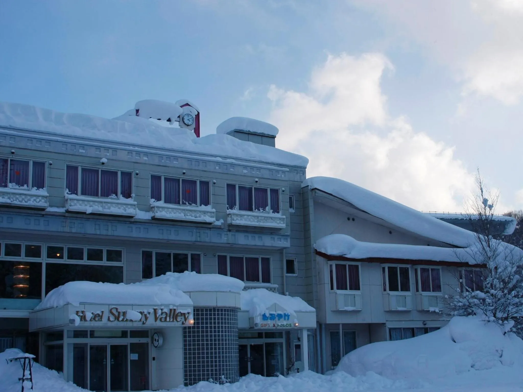 Facade/entrance in Hotel Sunny Valley