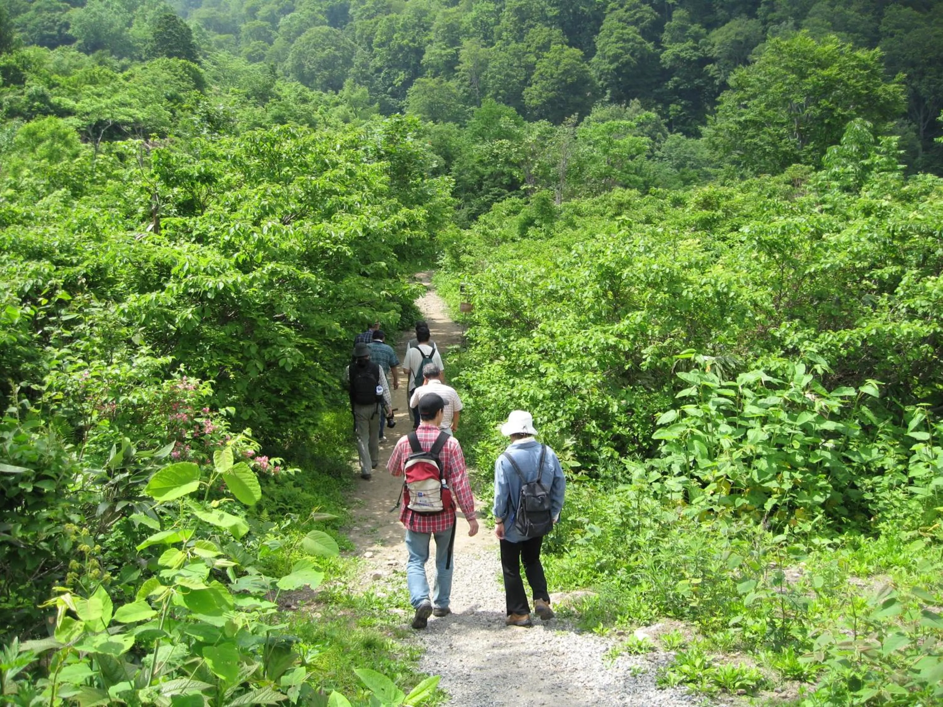 Hiking in Hotel Sunny Valley