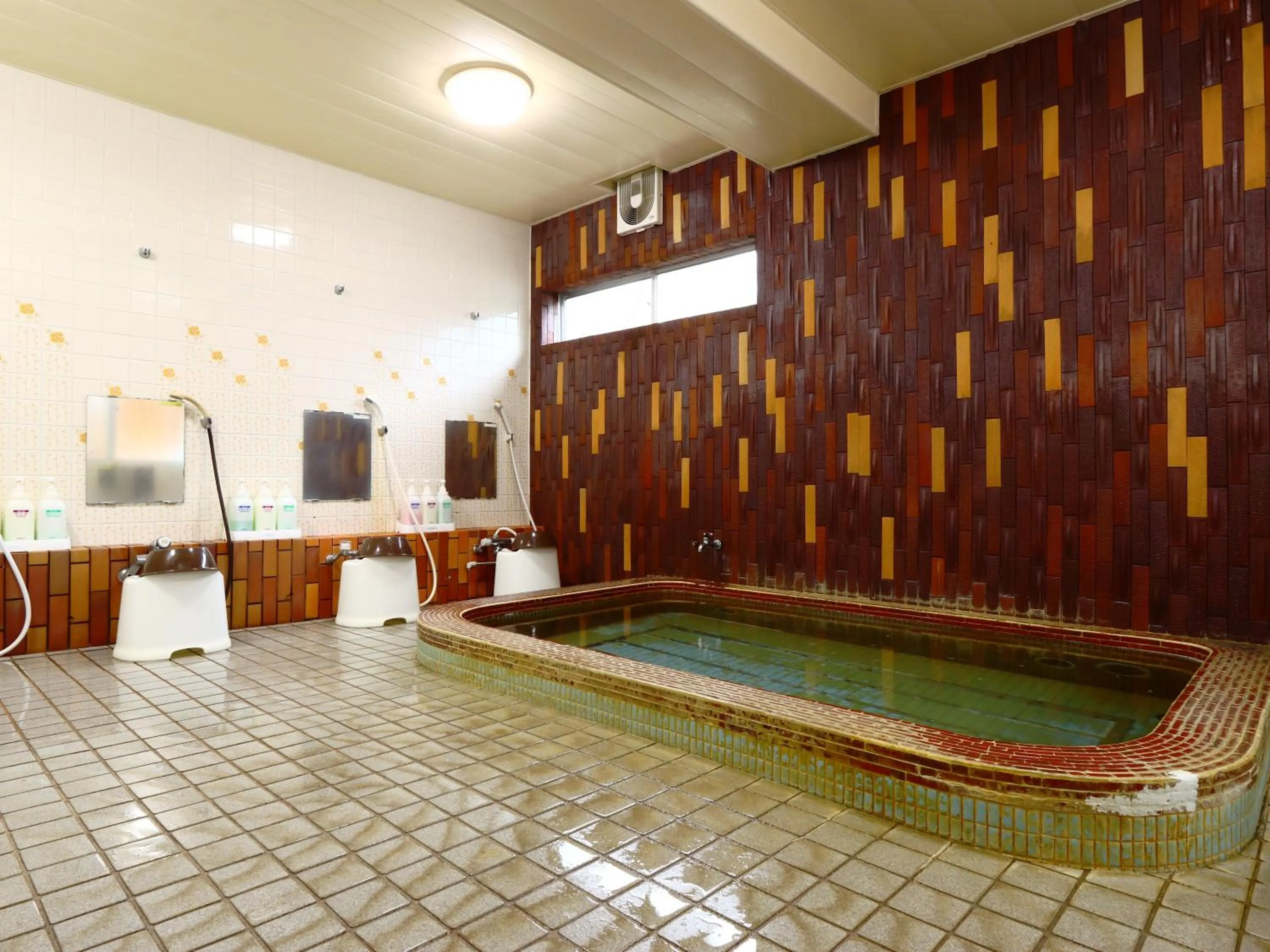 Hot Spring Bath in Hotel Sunny Valley