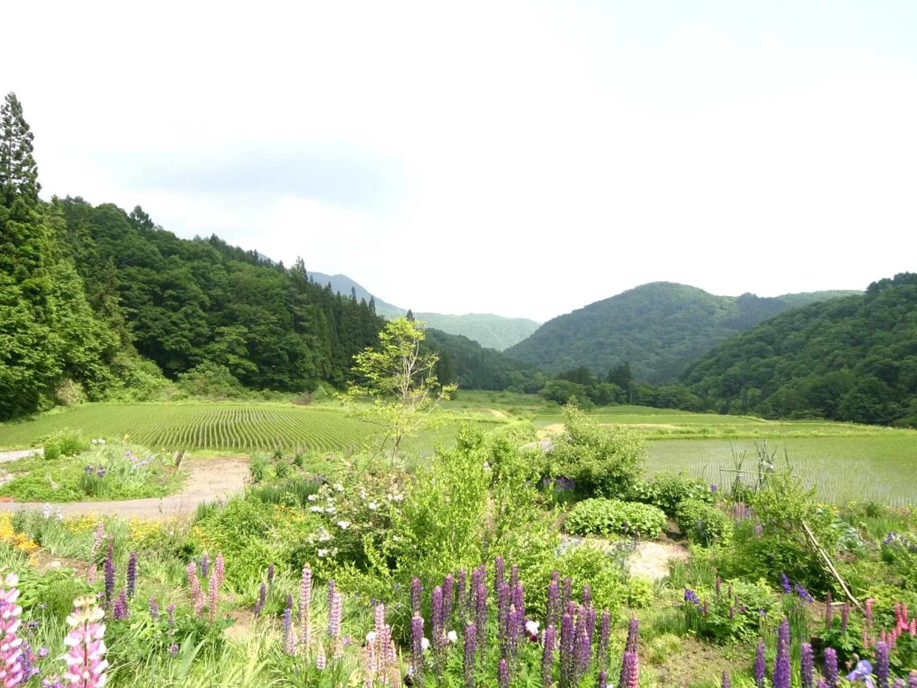 Off site in Hotel Sunny Valley