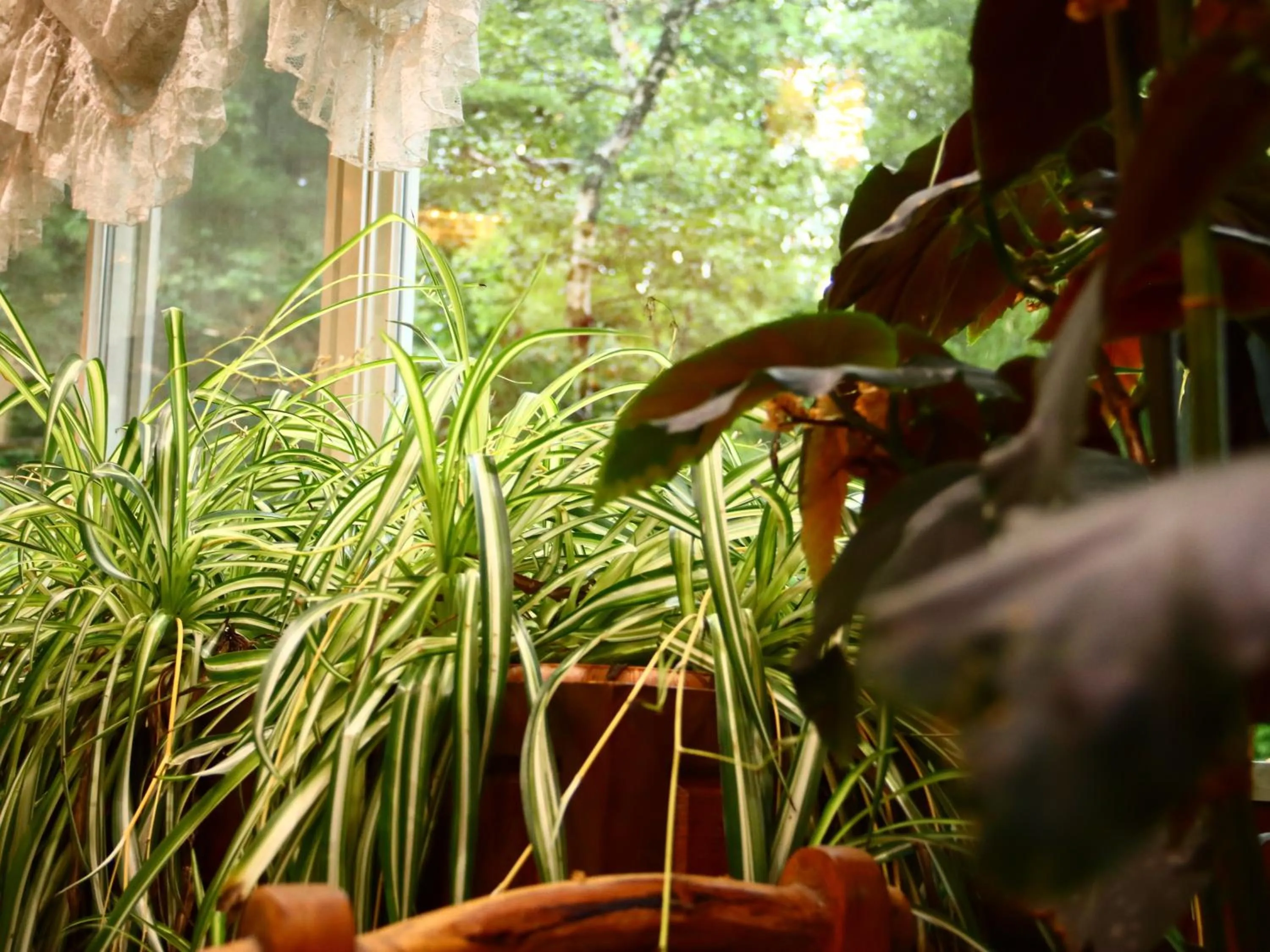 Decorative detail in Hotel Sunny Valley