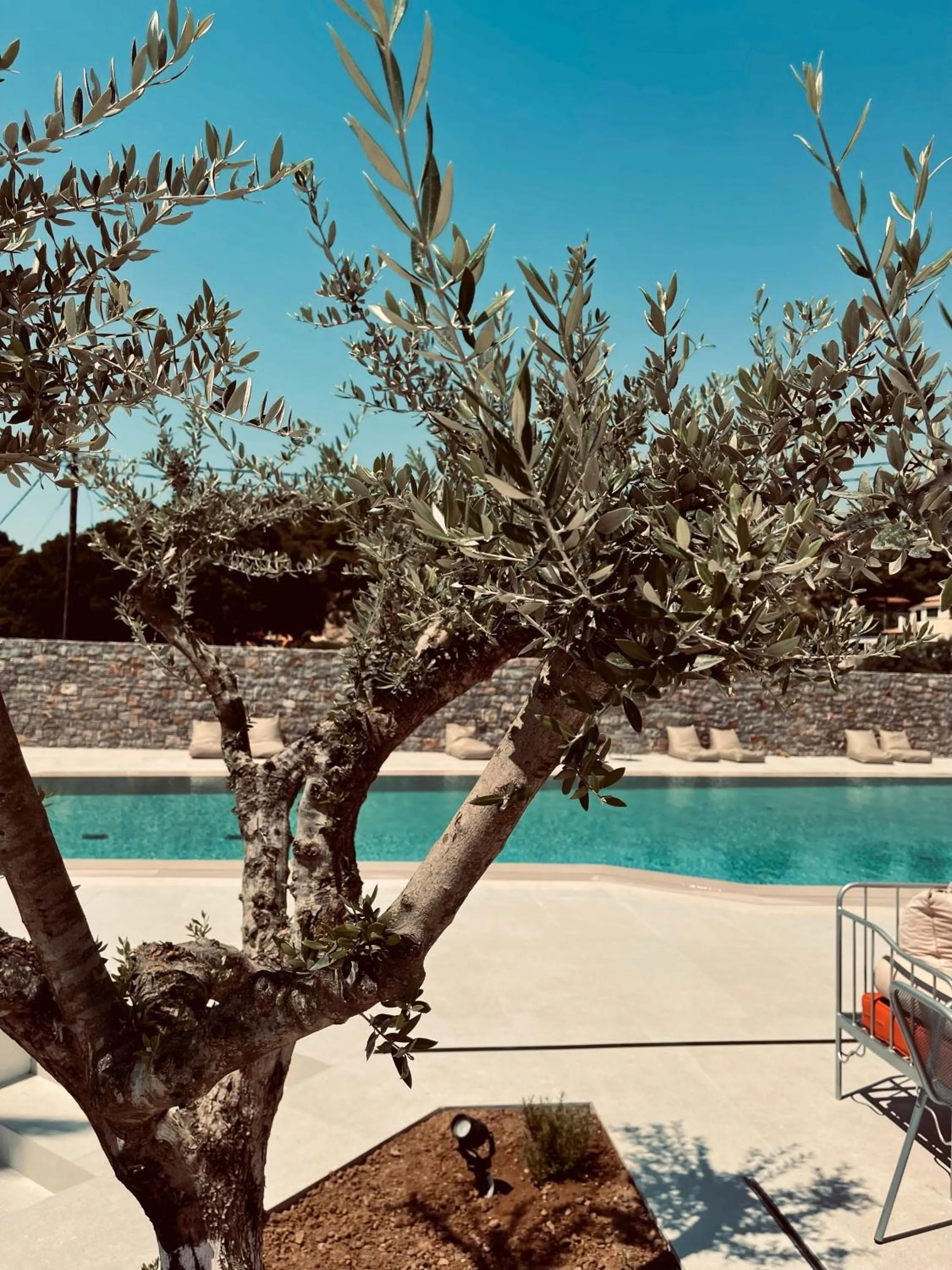 Day in PHEIA, Vriniotis Resorts