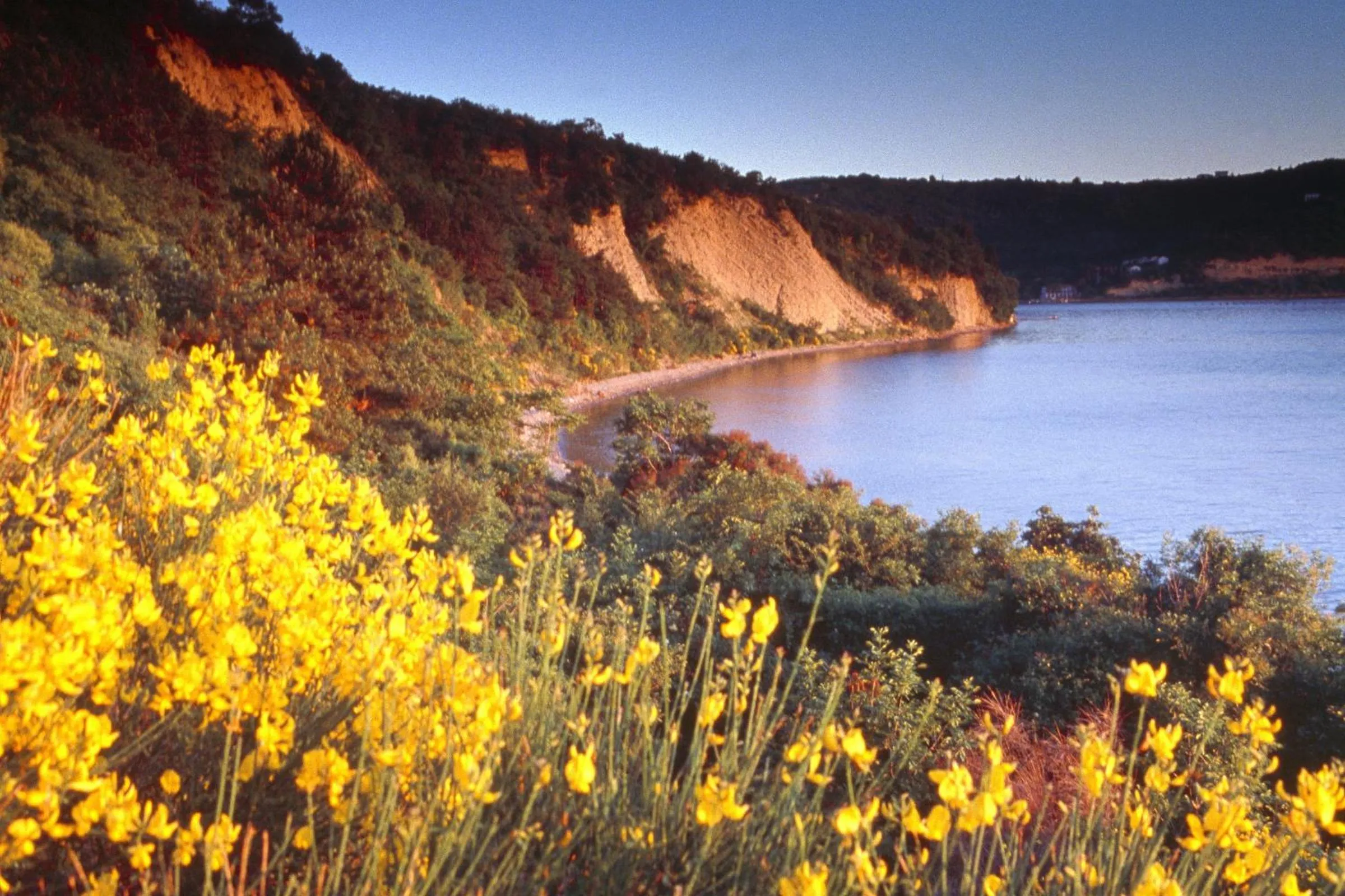Area and facilities in Hotel Laguna - Terme Krka