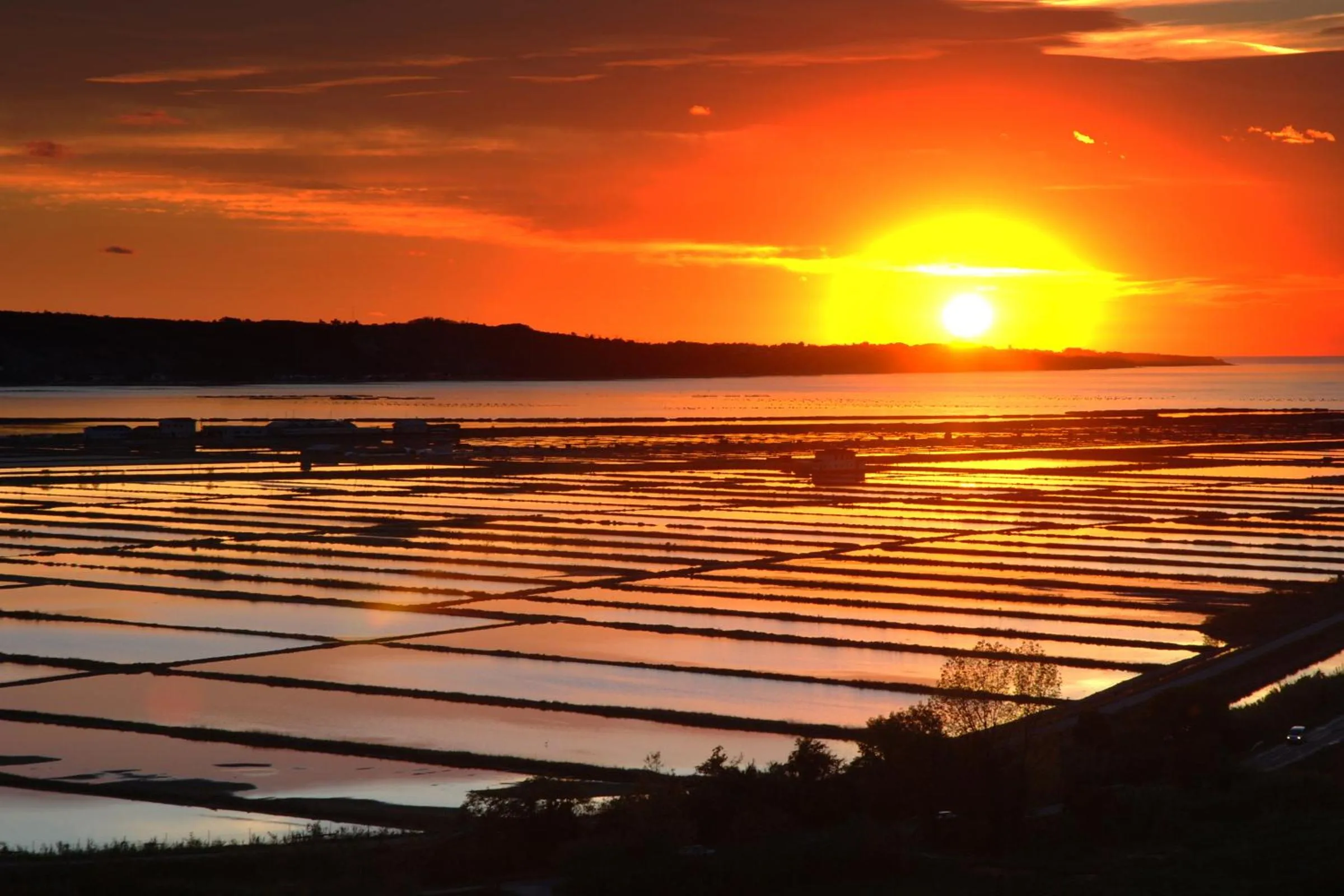 Area and facilities in Hotel Laguna - Terme Krka