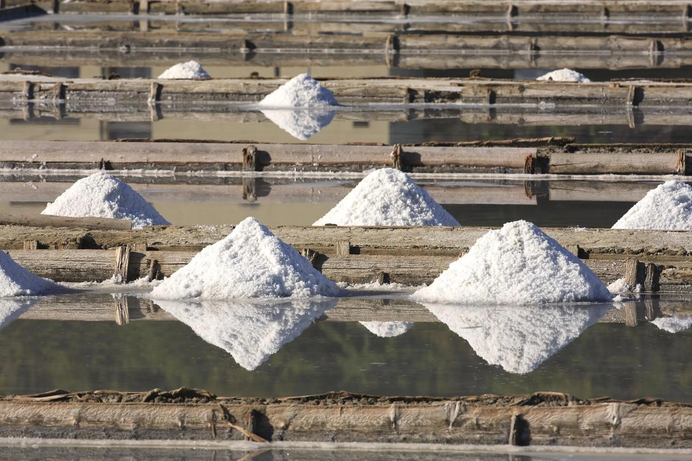 Area and facilities in Holiday Park Vile - Terme Krka