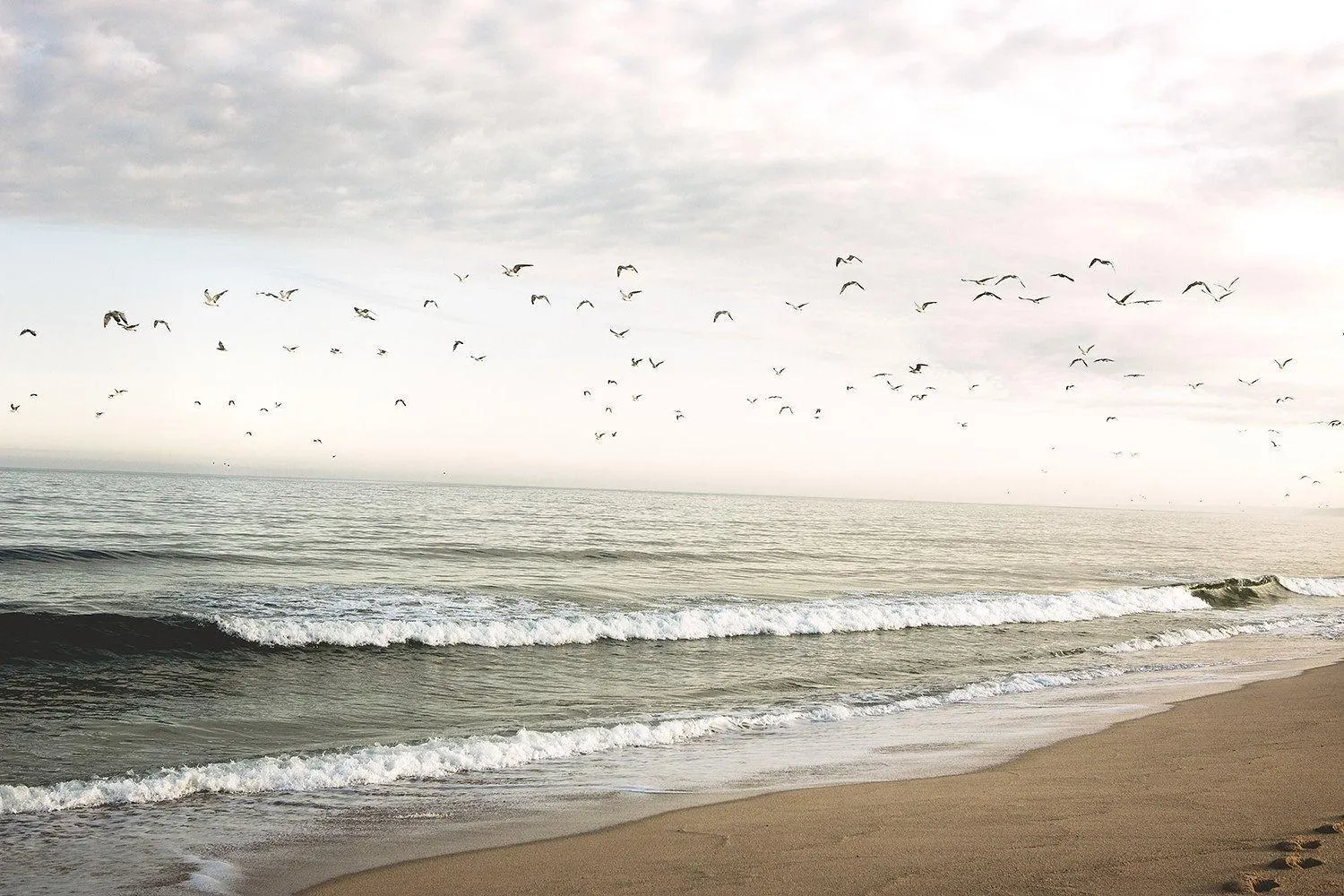 Beach in Noah Surf House Portugal
