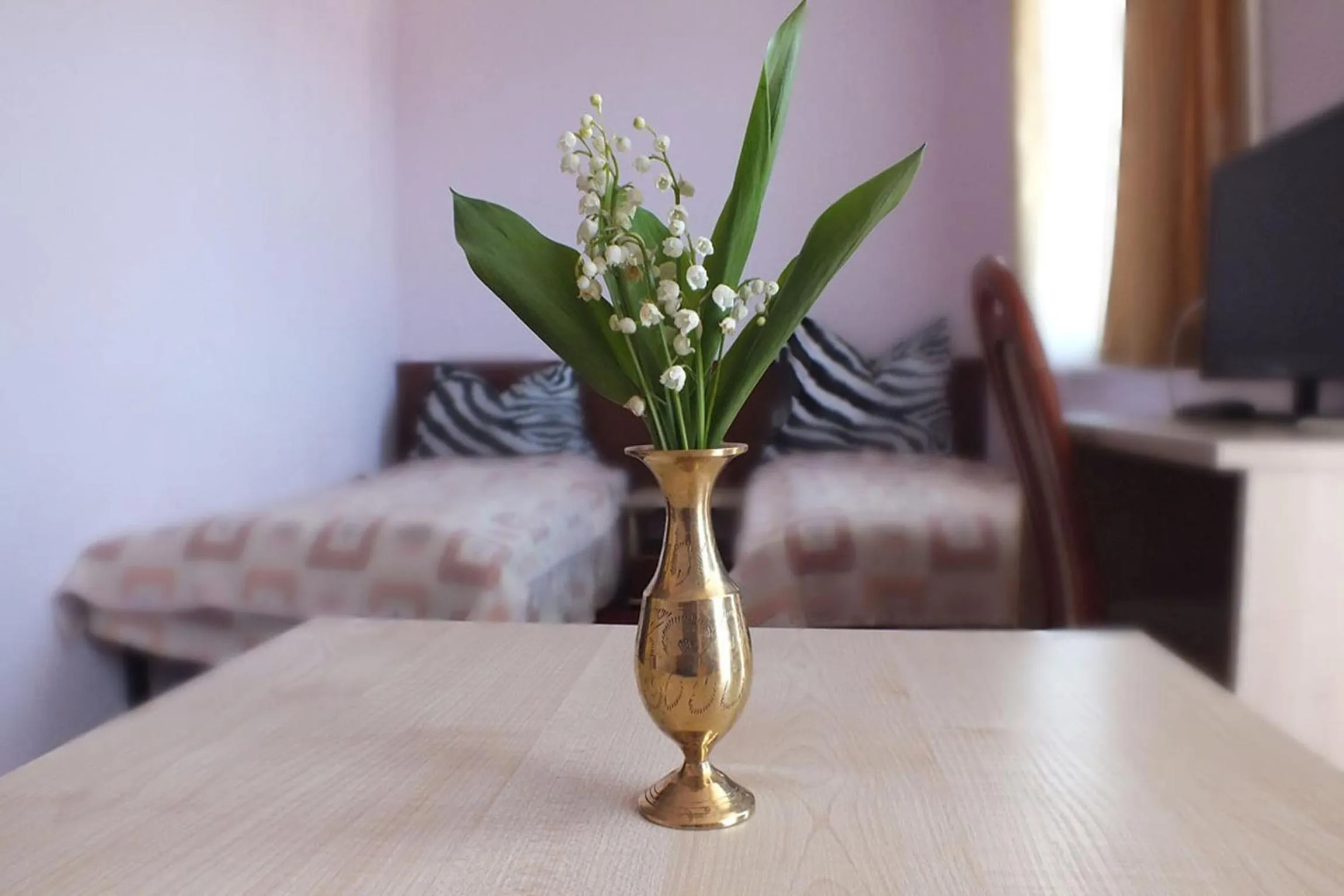 Photo of the whole room in Hotel Aleksander