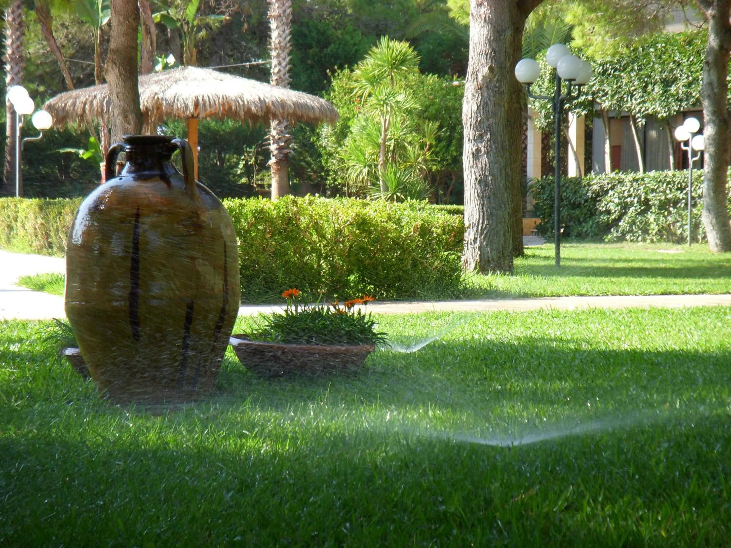 Garden in Hotel Club Astor