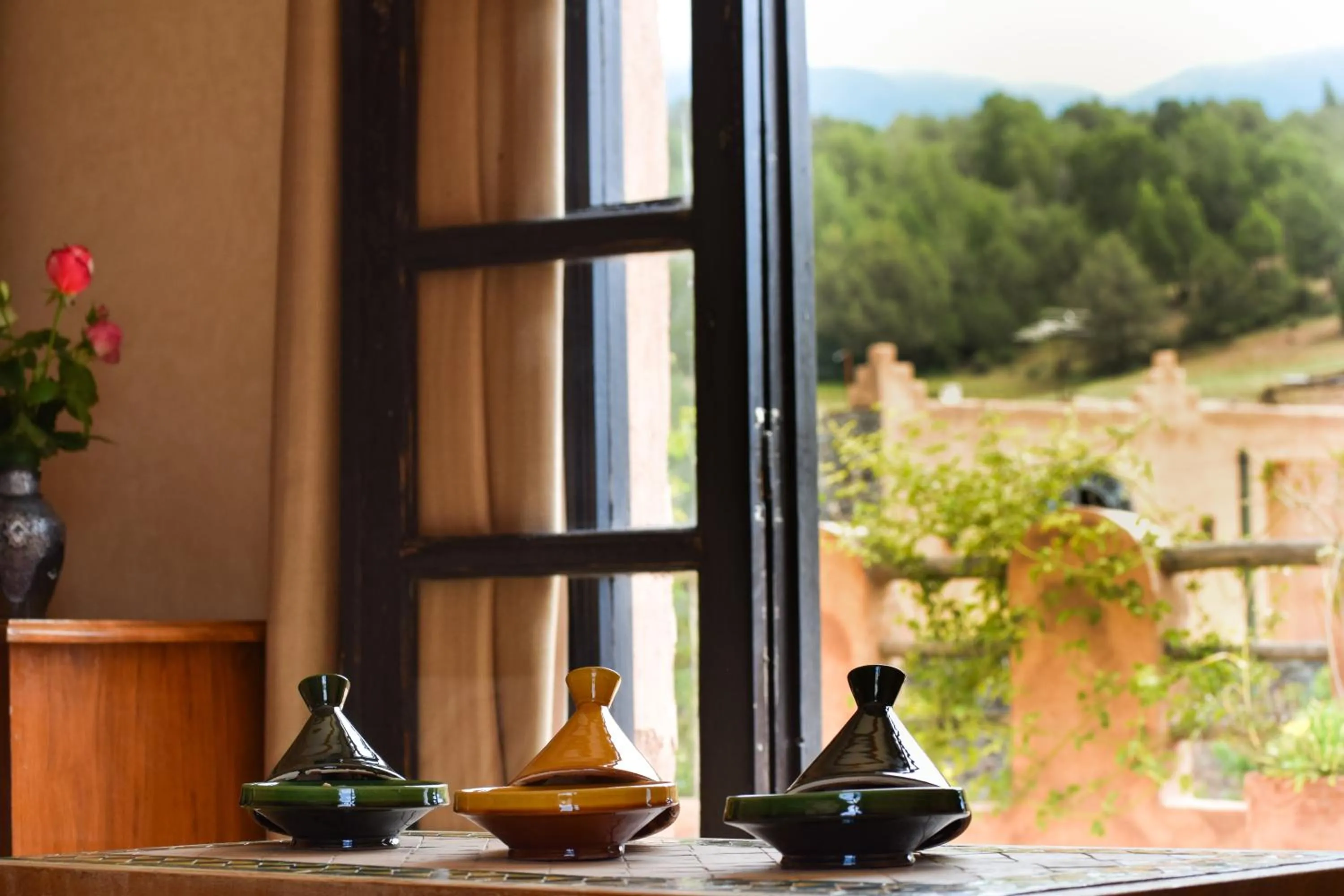 View (from property/room) in Tizi N'Ouirgane