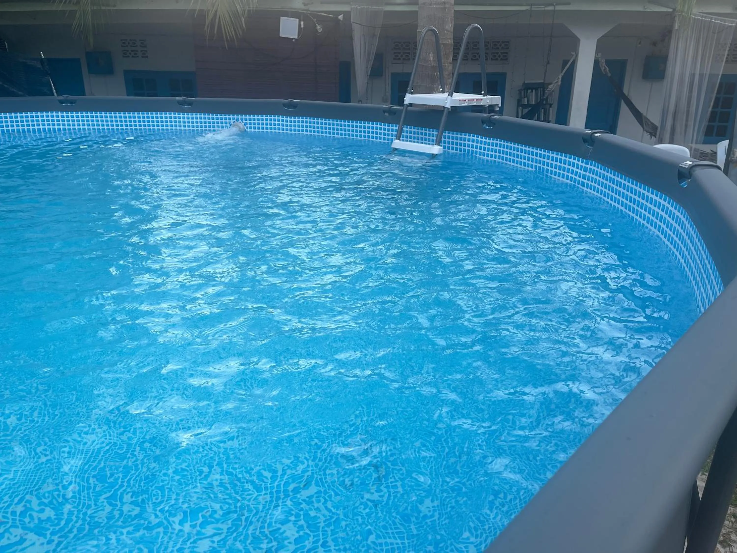 Day in Dar Yasmine