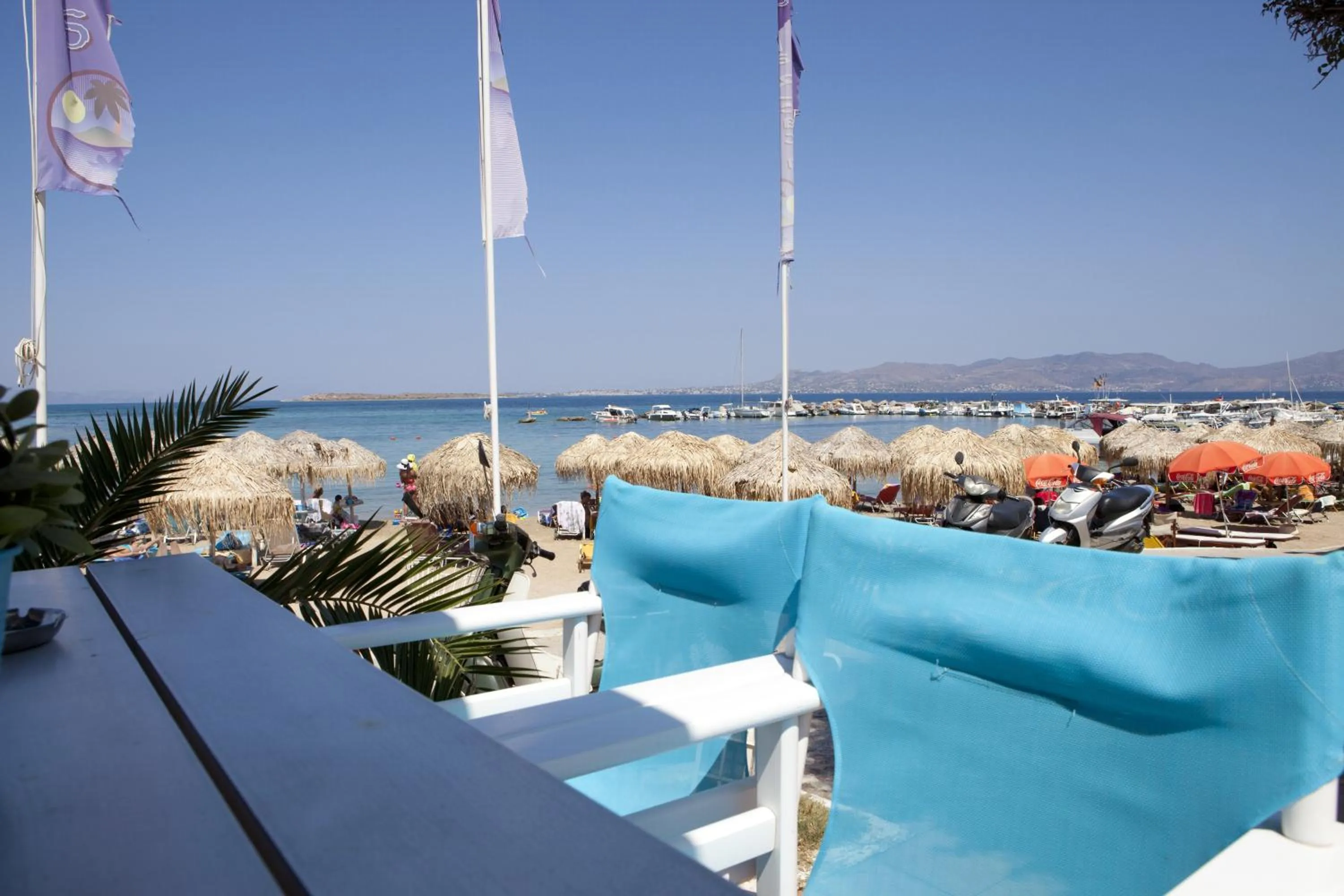 Restaurant/places to eat in Oasis Beach Hotel