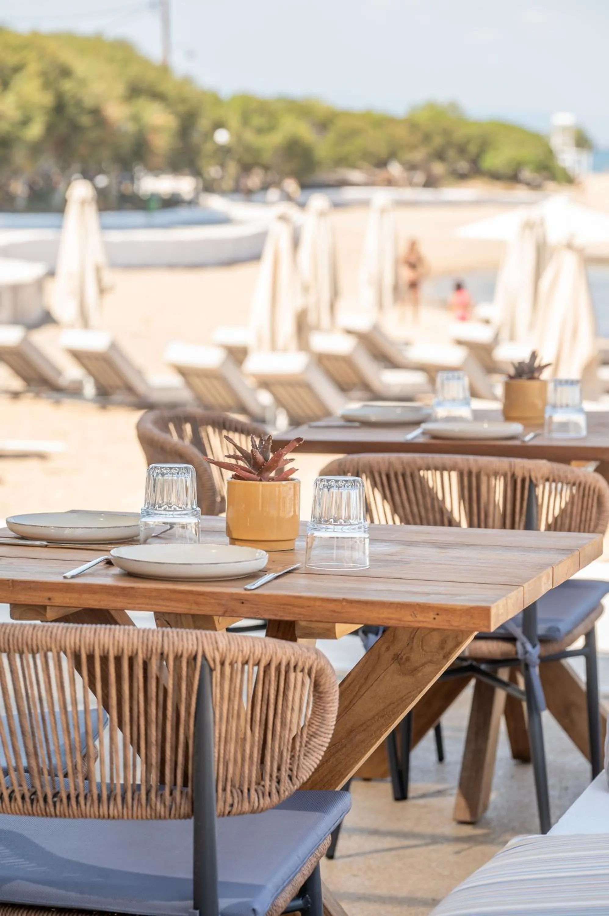 Restaurant/places to eat in Oasis Beach Hotel