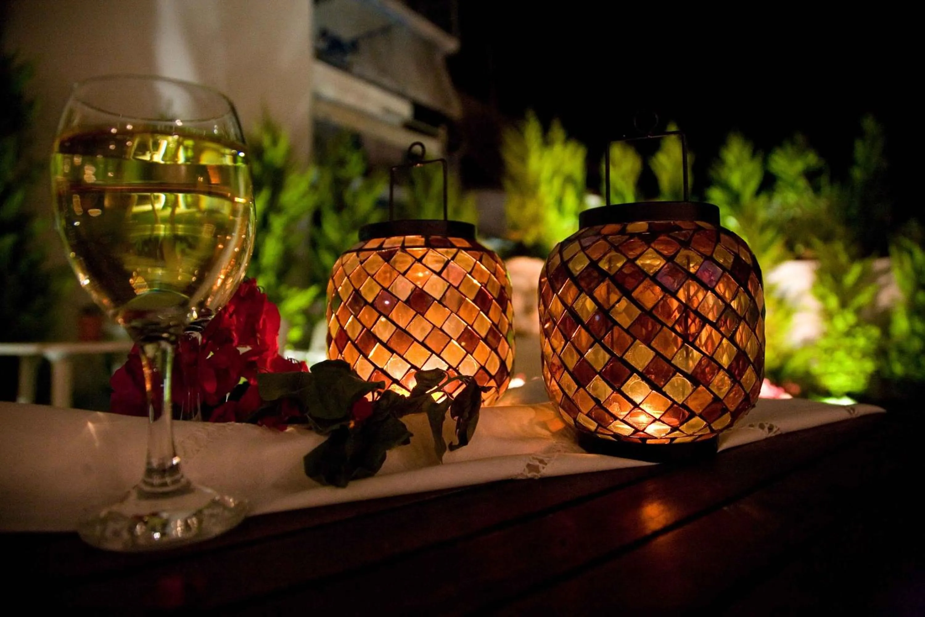 Garden in Oasis Beach Hotel