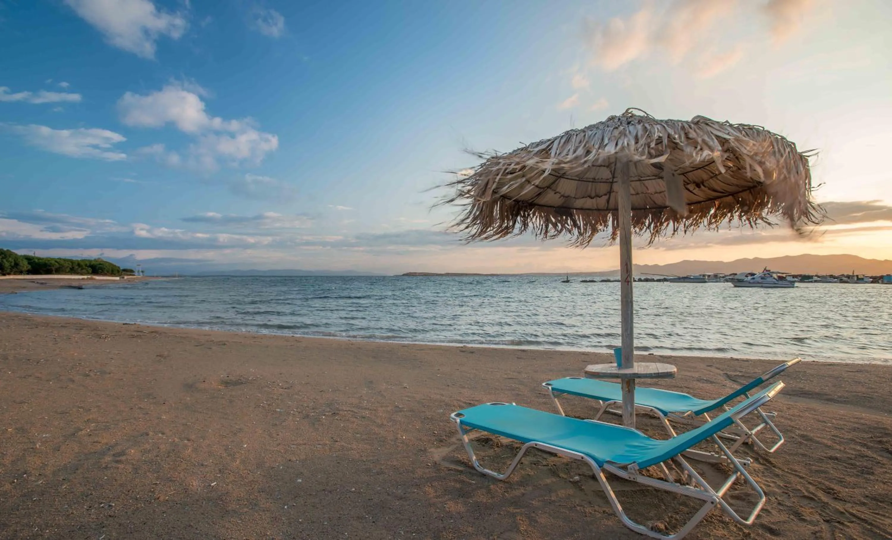 Beach in Oasis Beach Hotel
