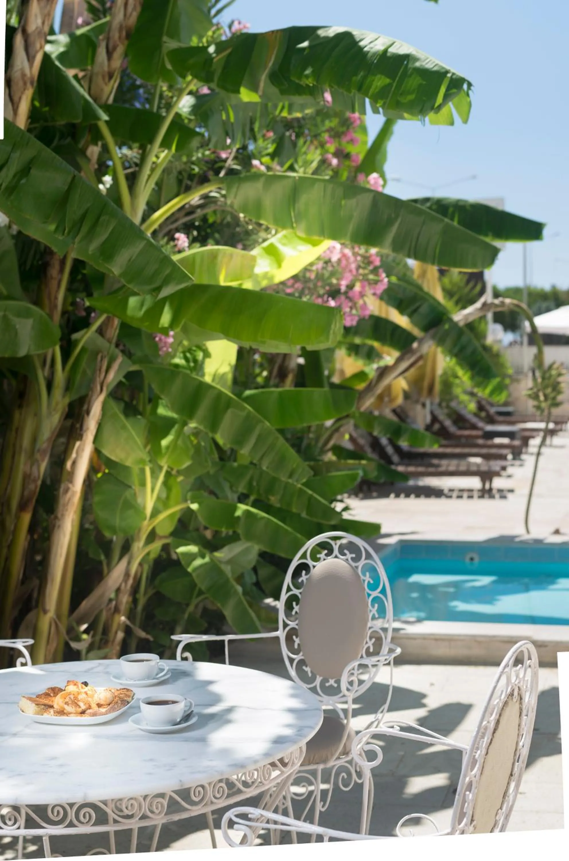 Garden in Temple Miletos Spa Hotel