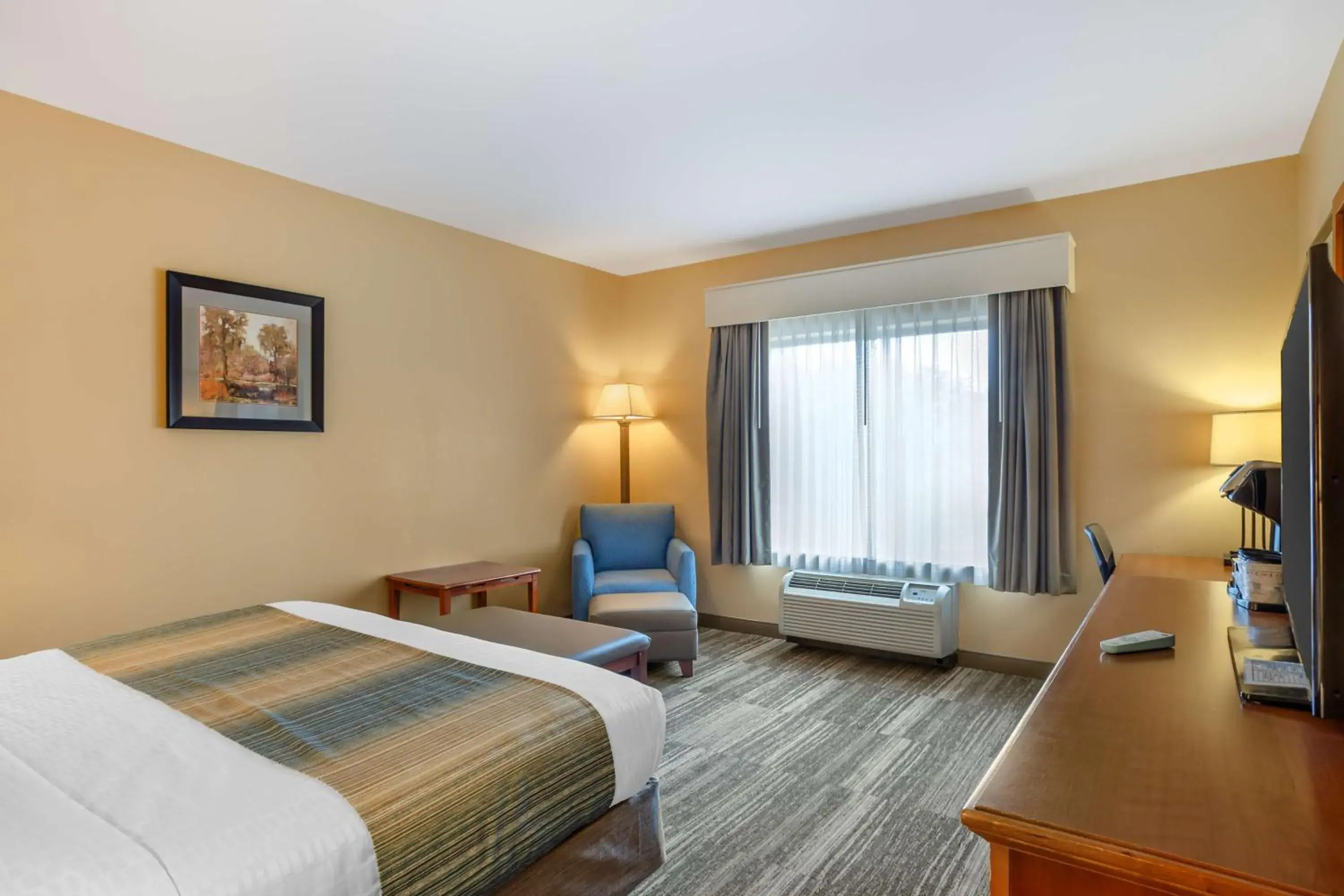 Bedroom, Bed in Best Western PLUS University Park Inn & Suites Bedroom, Bed in Best Western PLUS University Park Inn & Suites