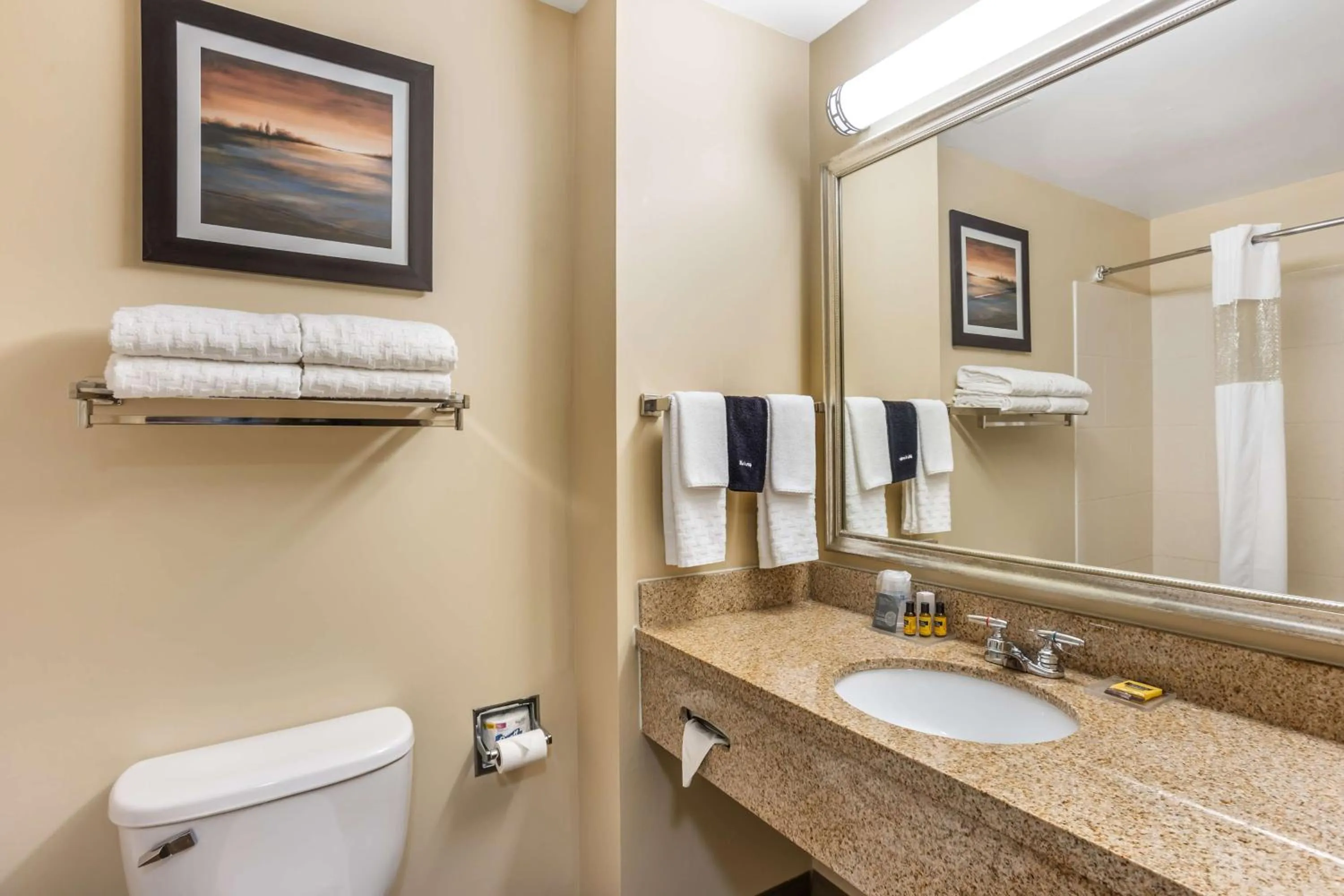 Bathroom in Best Western PLUS University Park Inn & Suites
