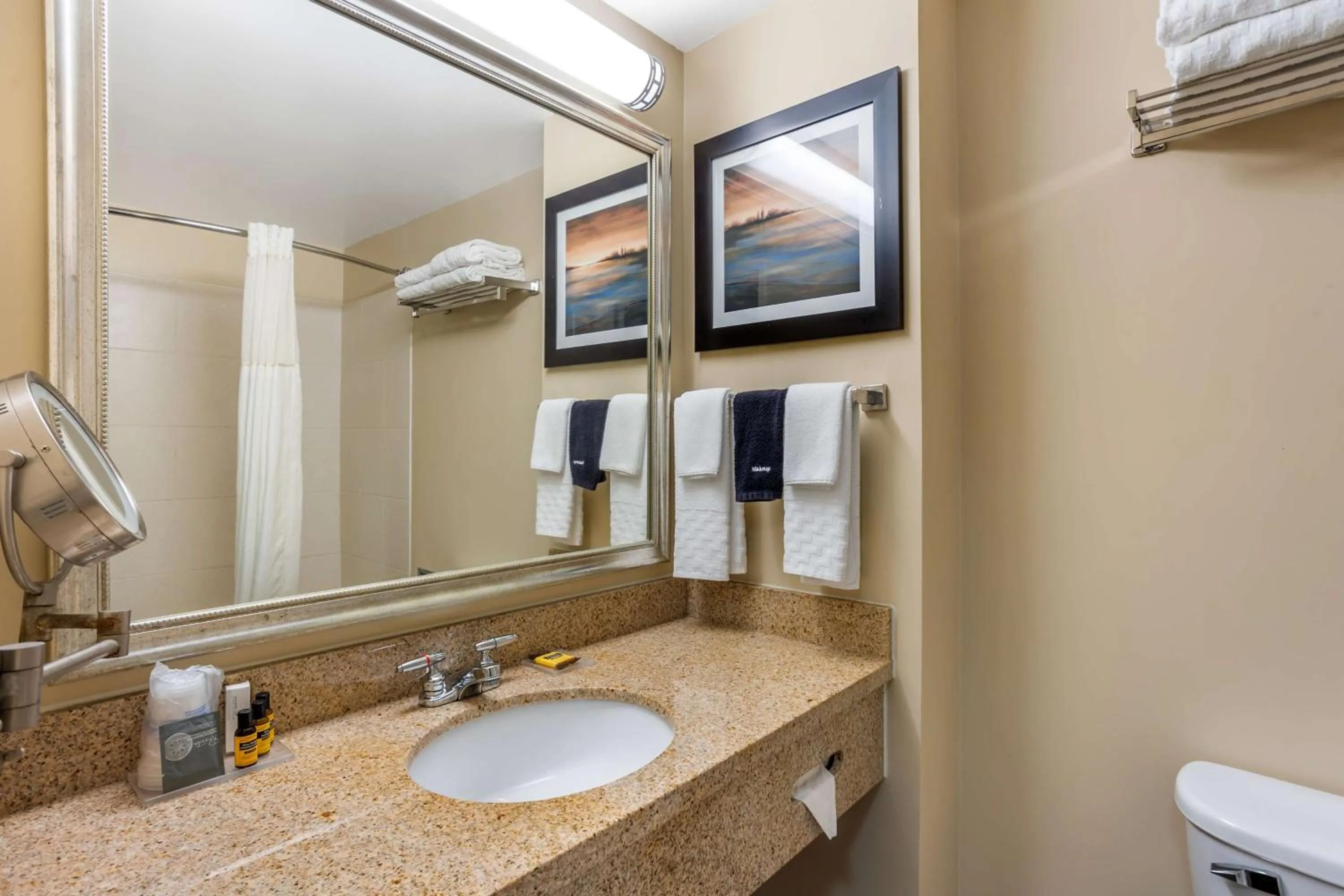 Bathroom in Best Western PLUS University Park Inn & Suites