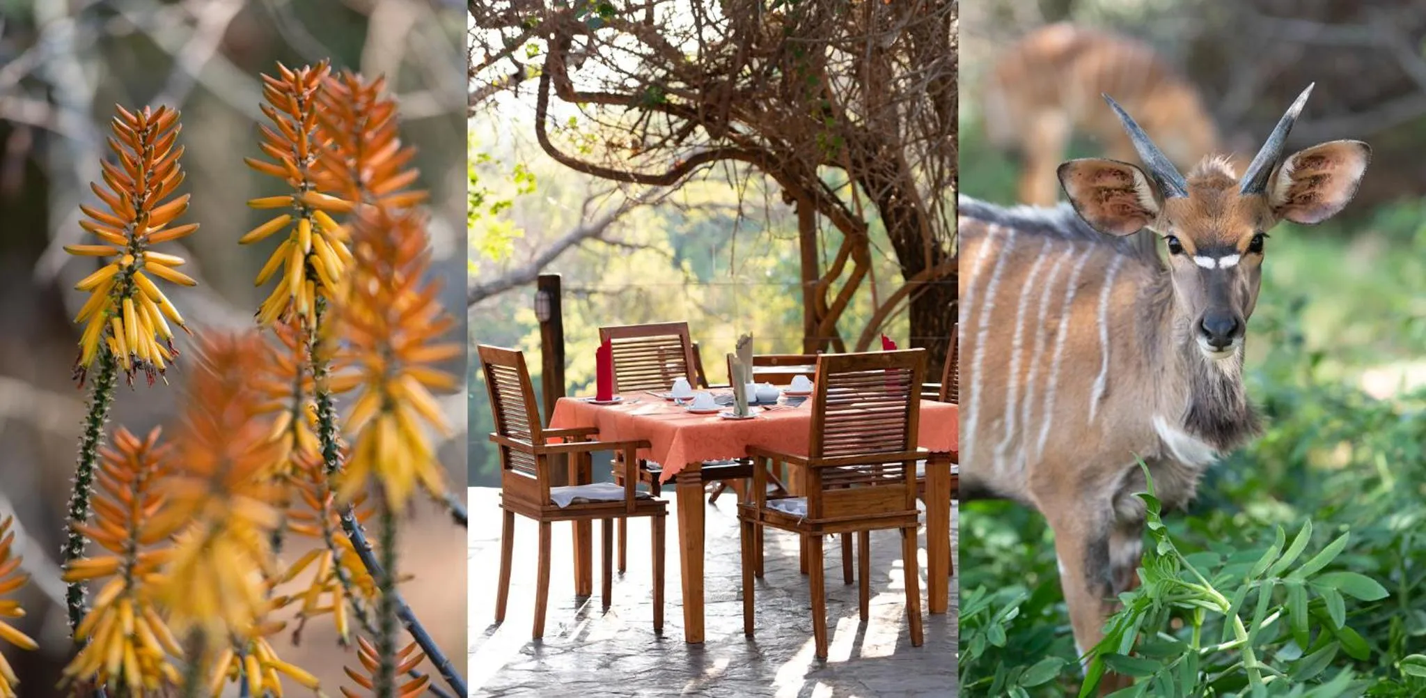 Patio in Blyde River Wilderness Lodge