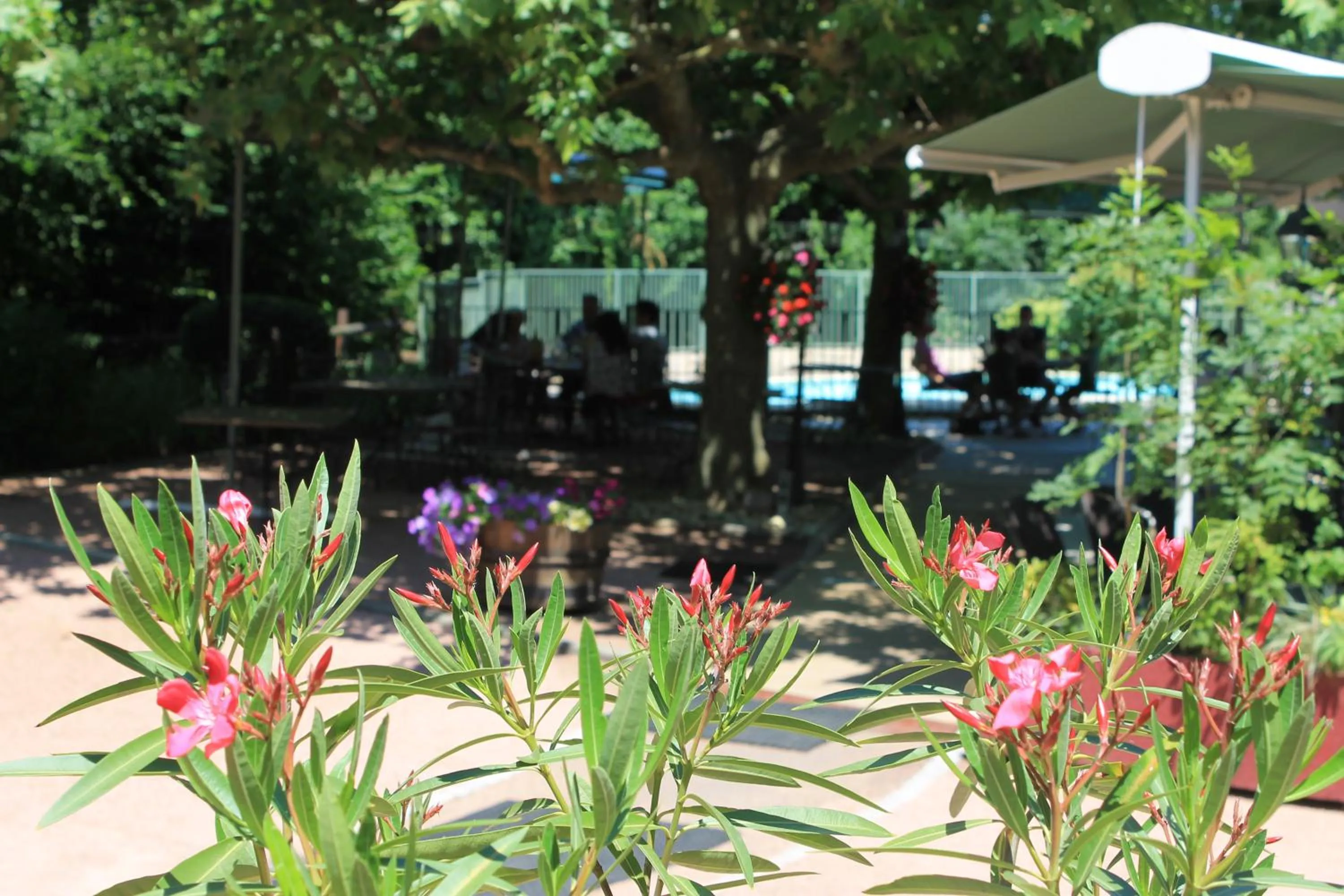 Patio in Hôtel Restaurant Le Moulin de Saint Verand