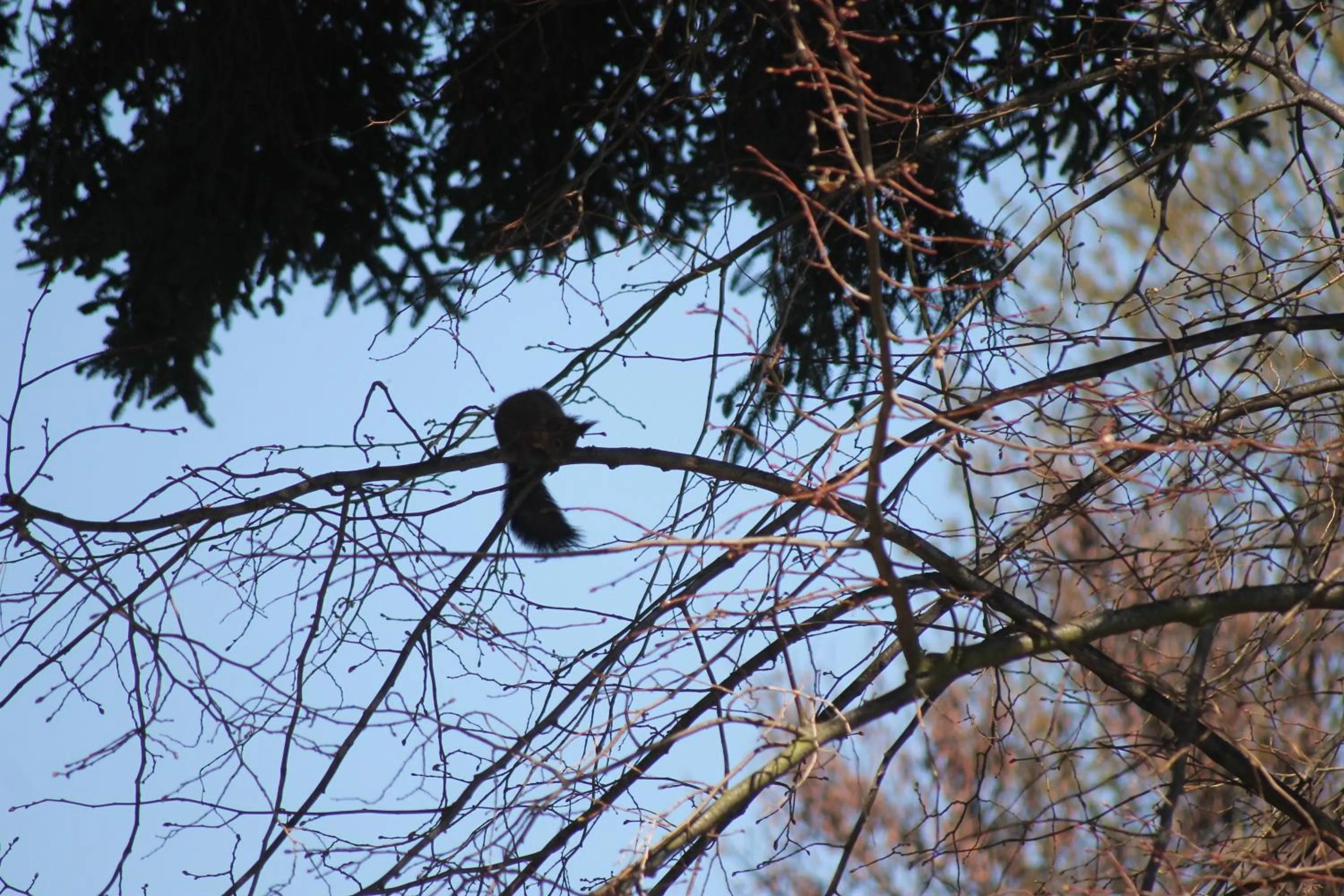 Garden in Hôtel Restaurant Le Moulin de Saint Verand