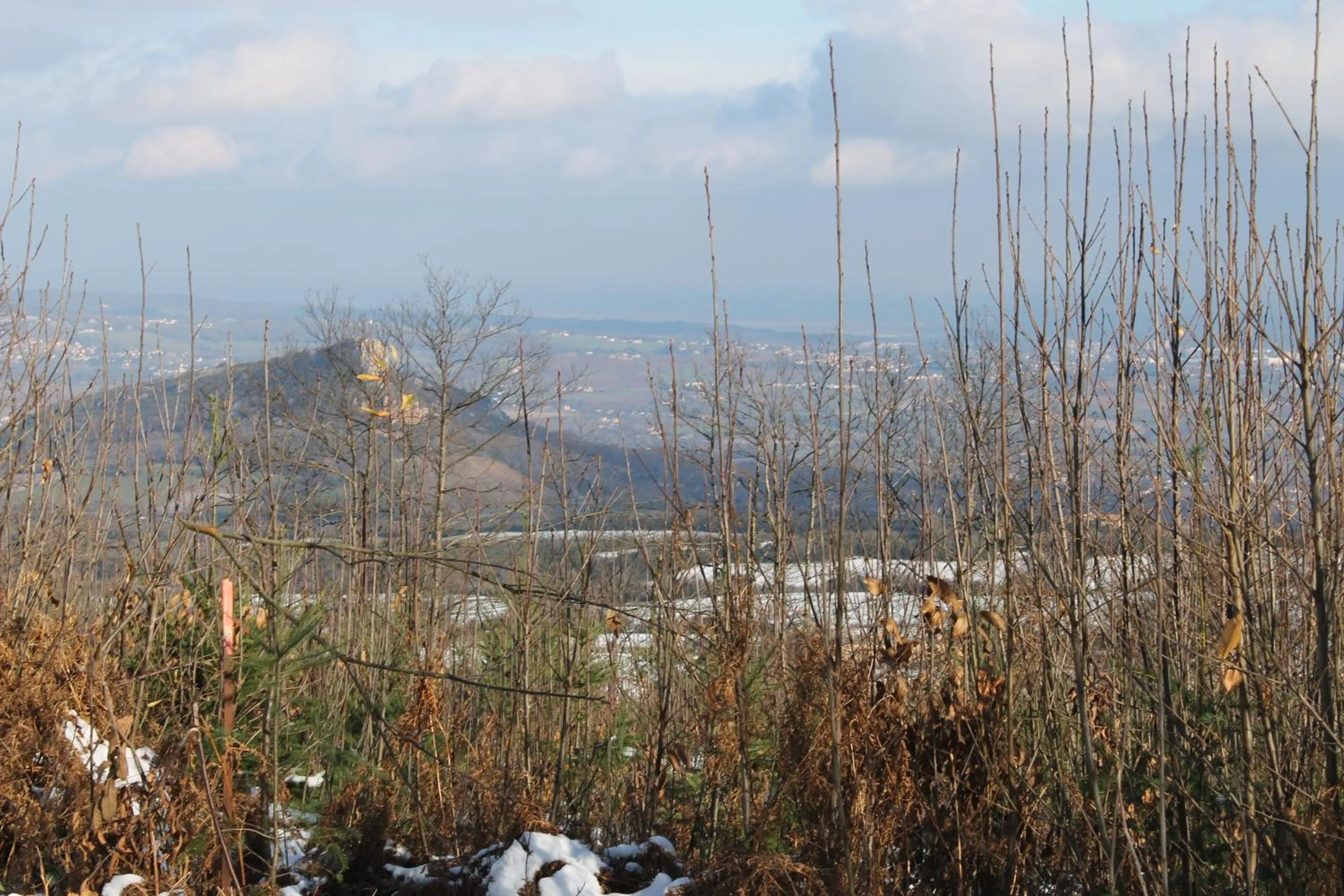 Nearby landmark in Hôtel Restaurant Le Moulin de Saint Verand