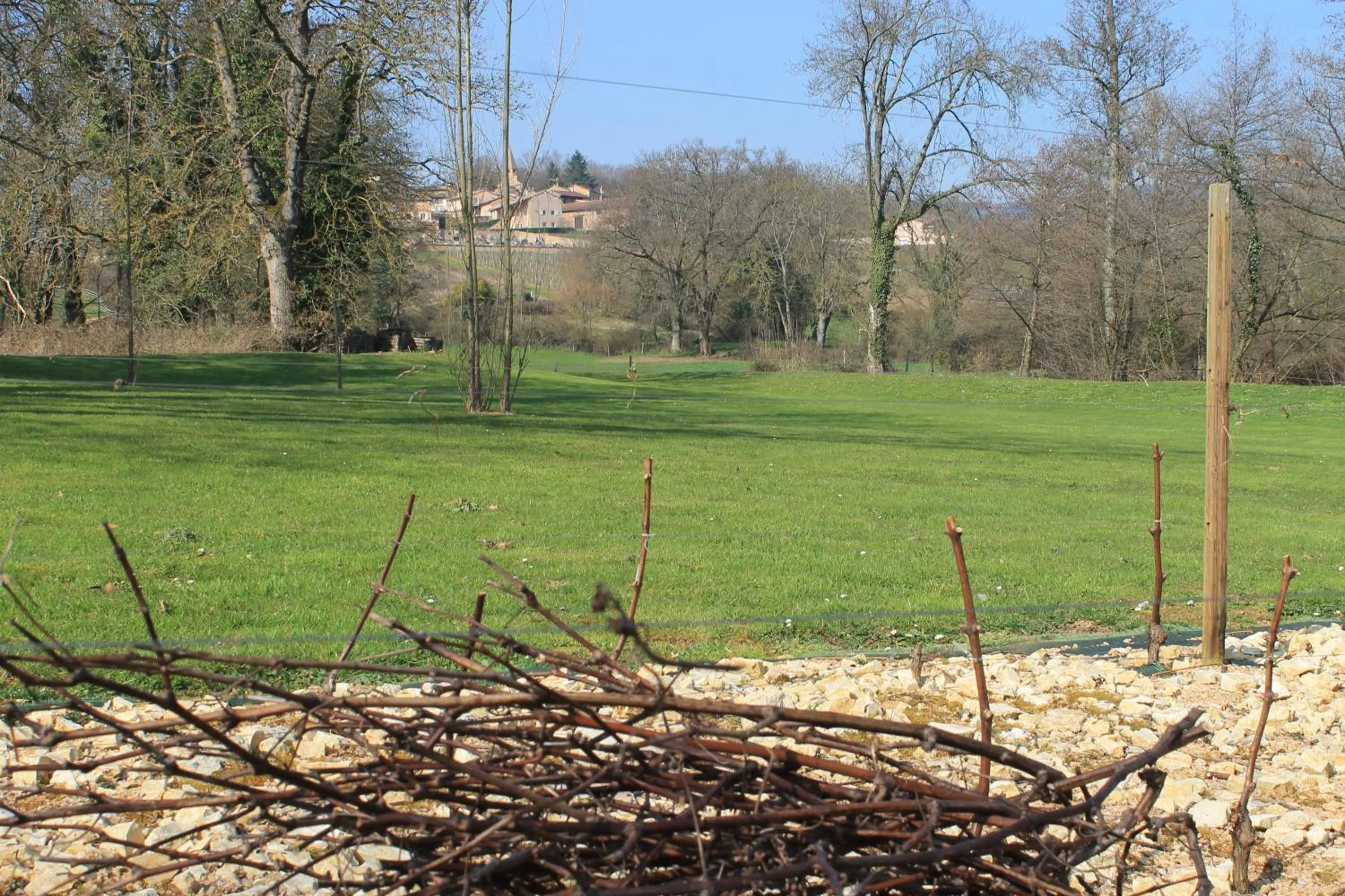 Garden view in Hôtel Restaurant Le Moulin de Saint Verand
