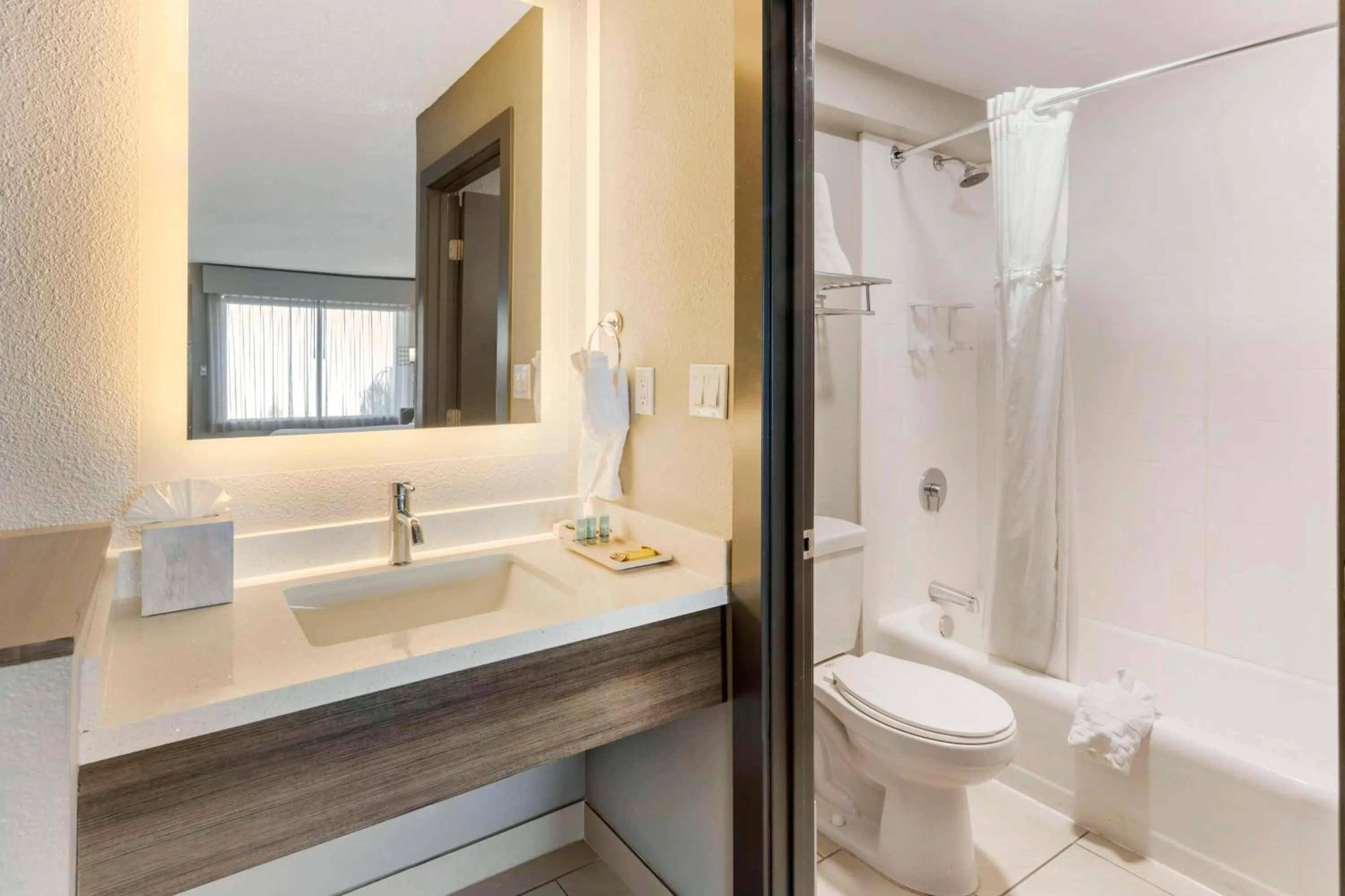 Bathroom in Aiden by Best Western South Reno