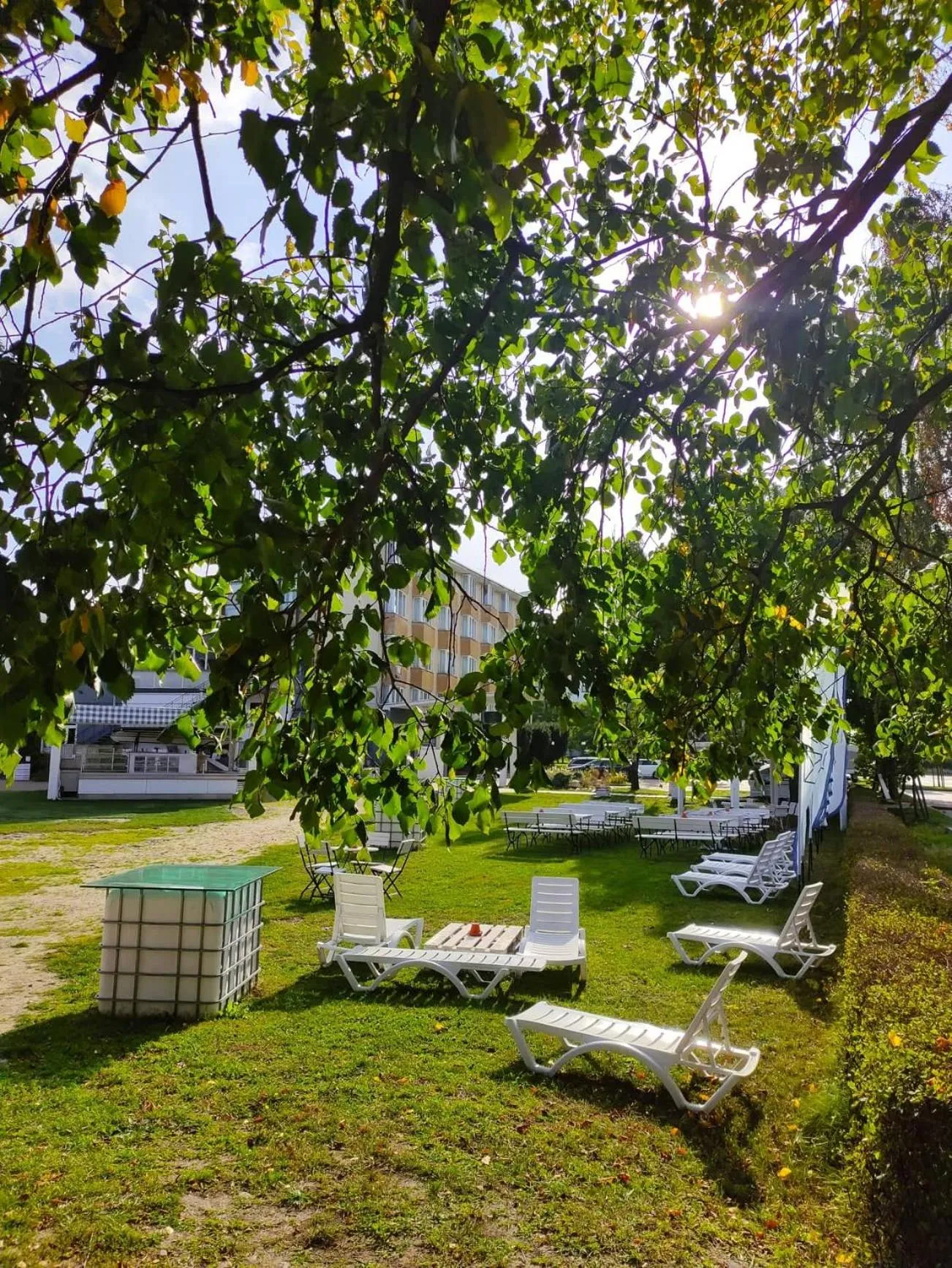 Garden in Sopocki Zdrój