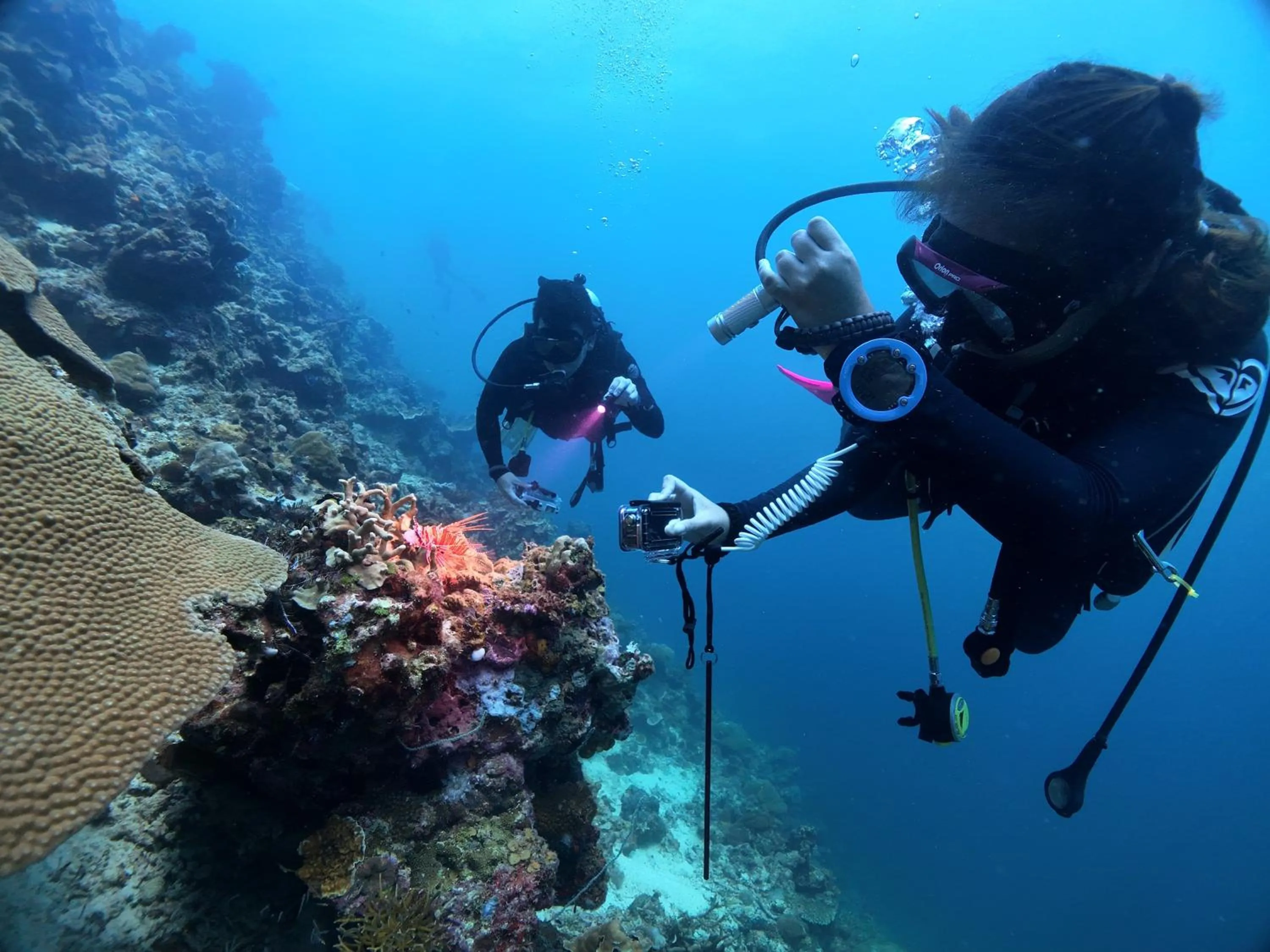 Cow B Homestay Semporna