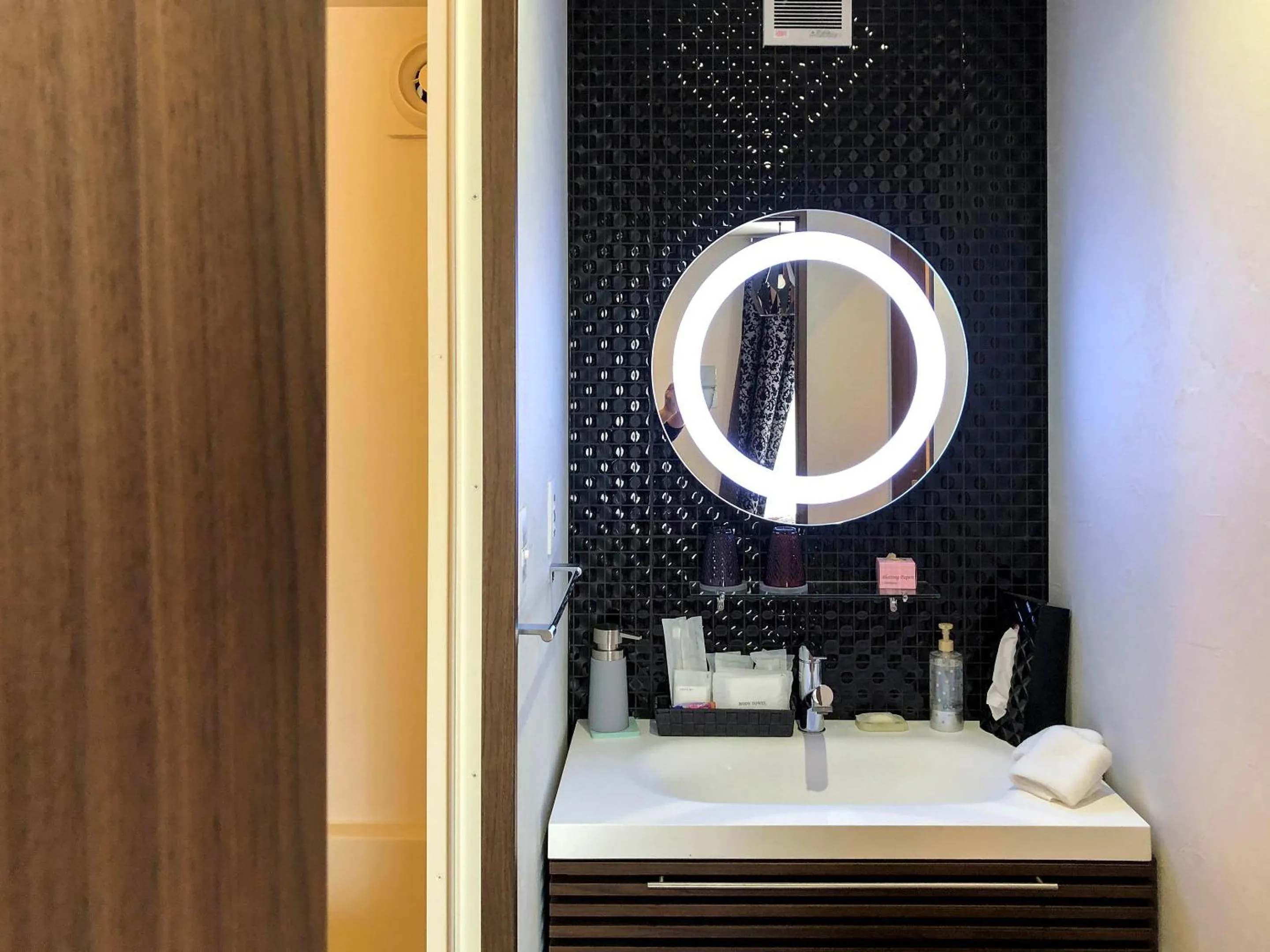 Bathroom in Sparky’s House