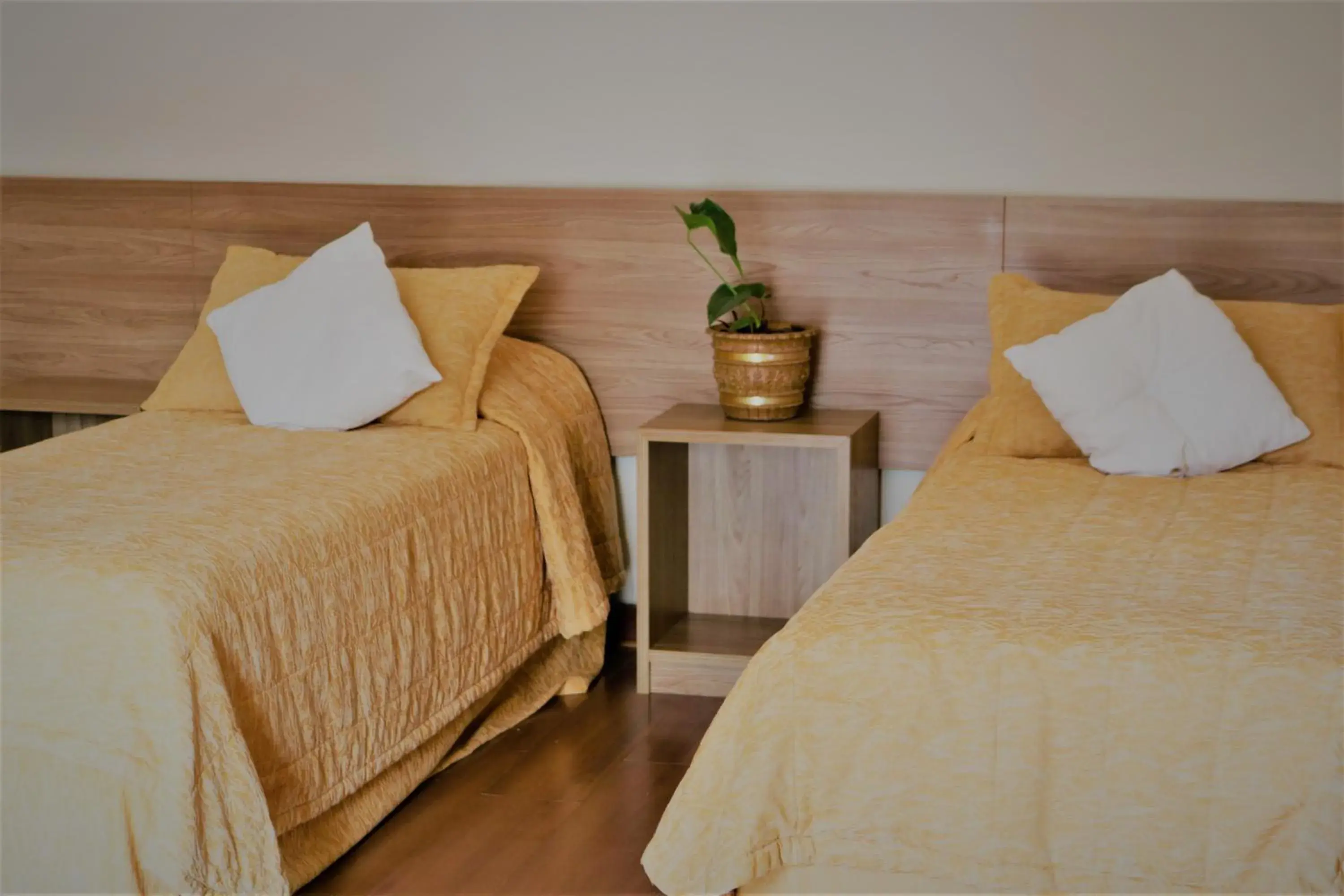 Double or Twin Room in Hotel Bologna Double or Twin Room in Hotel Bologna