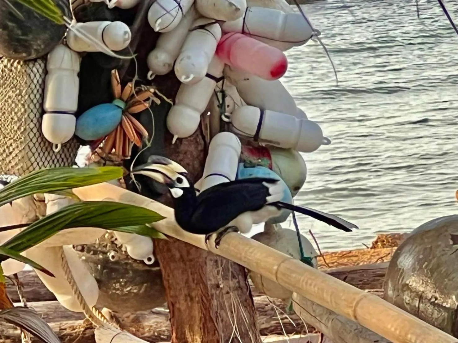 Koh Phaluai Beach Bangalow