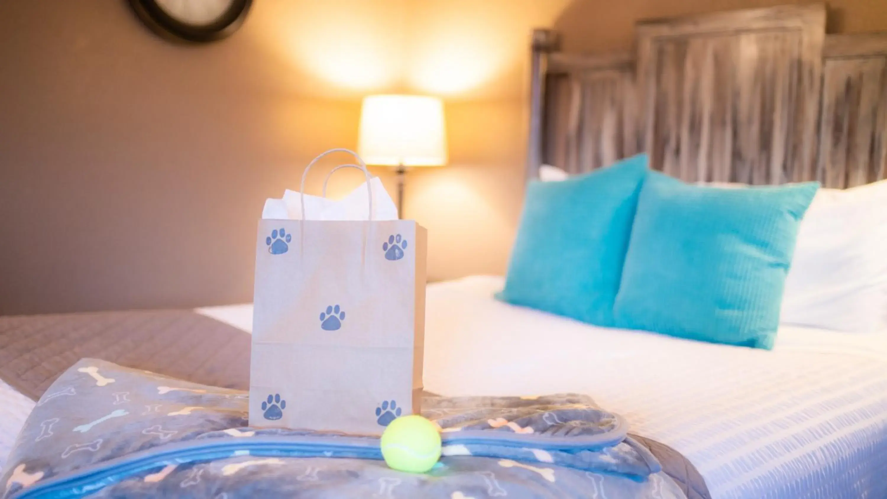 Family Suite Pet Friendly in Mountain View Lodge Family Suite Pet Friendly in Mountain View Lodge