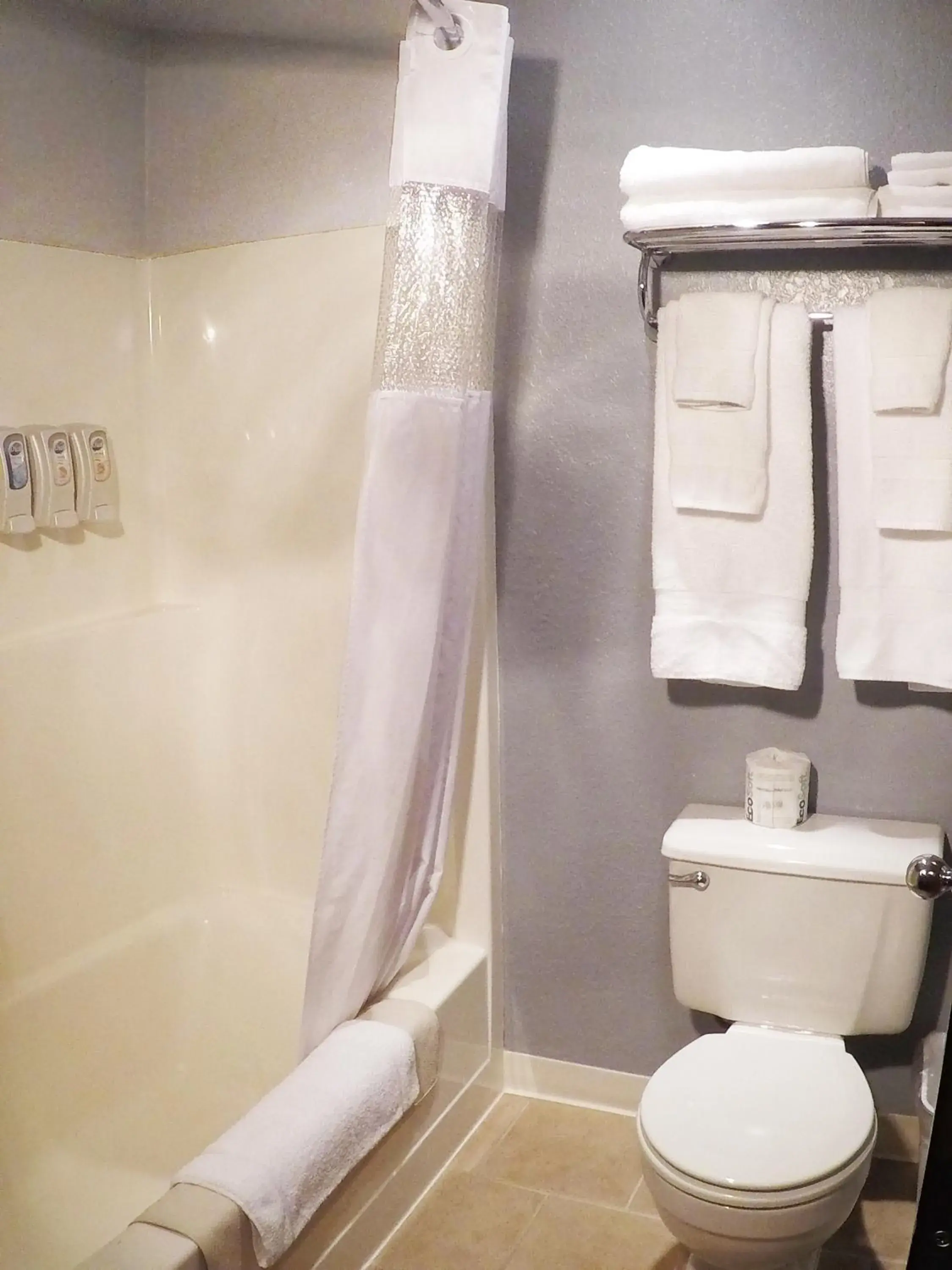 Family Suite Pet Friendly in Mountain View Lodge Family Suite Pet Friendly in Mountain View Lodge