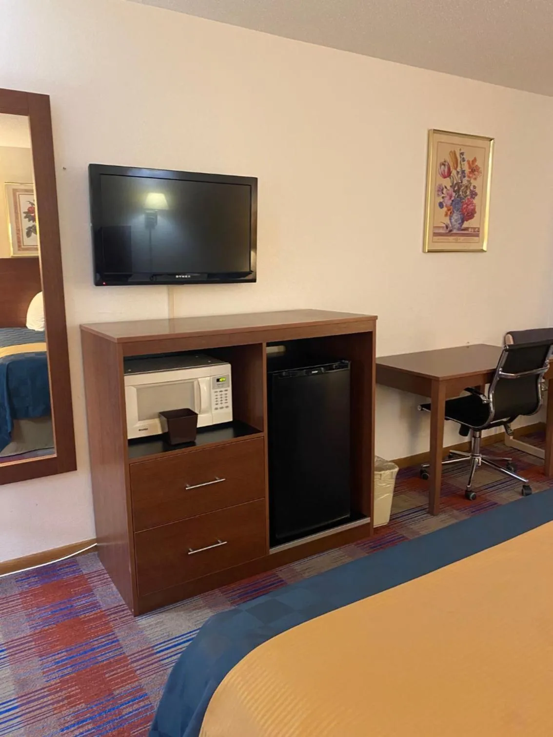 TV and multimedia in Americas Best Value Inn Champaign