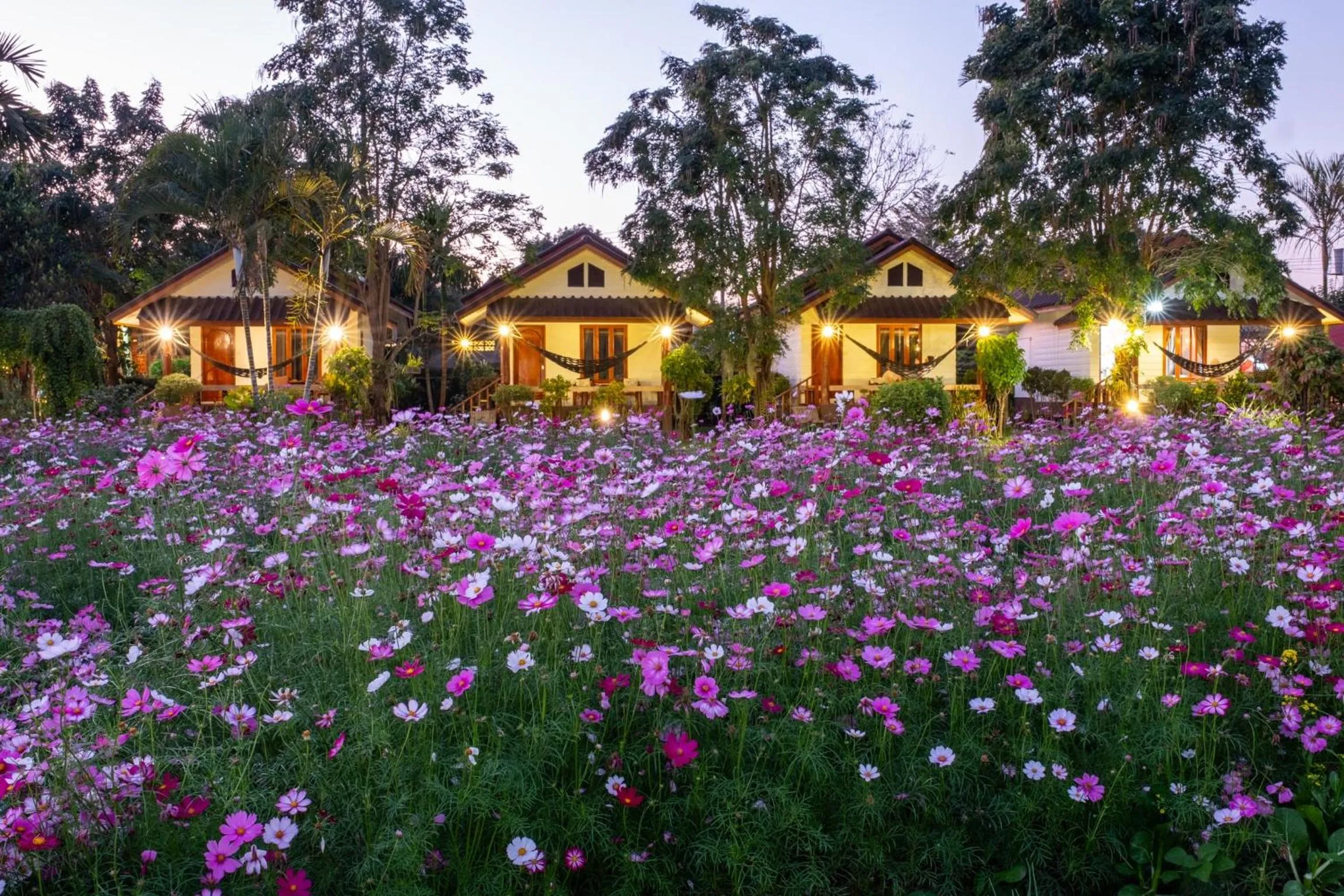 The Nest House