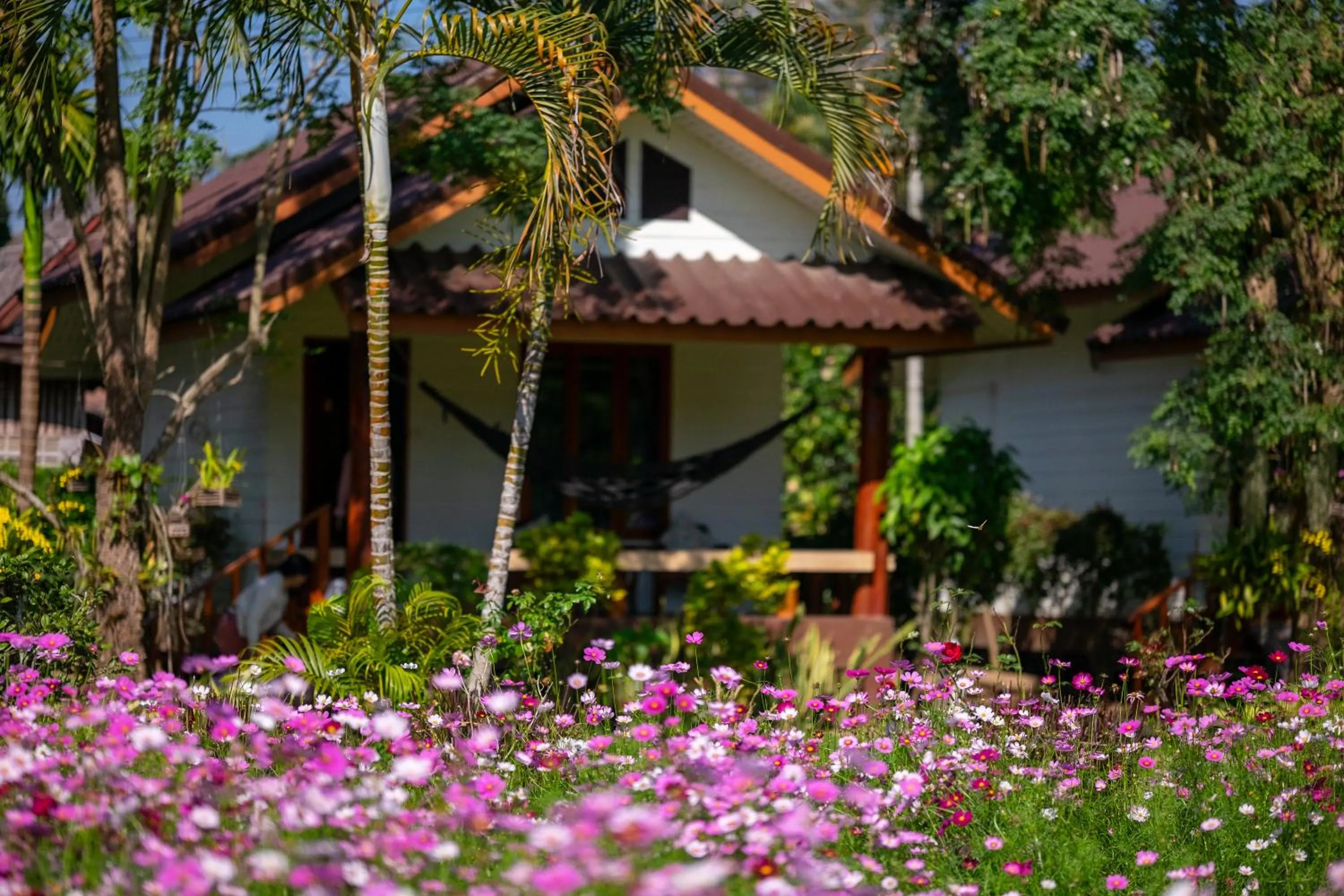 The Nest House