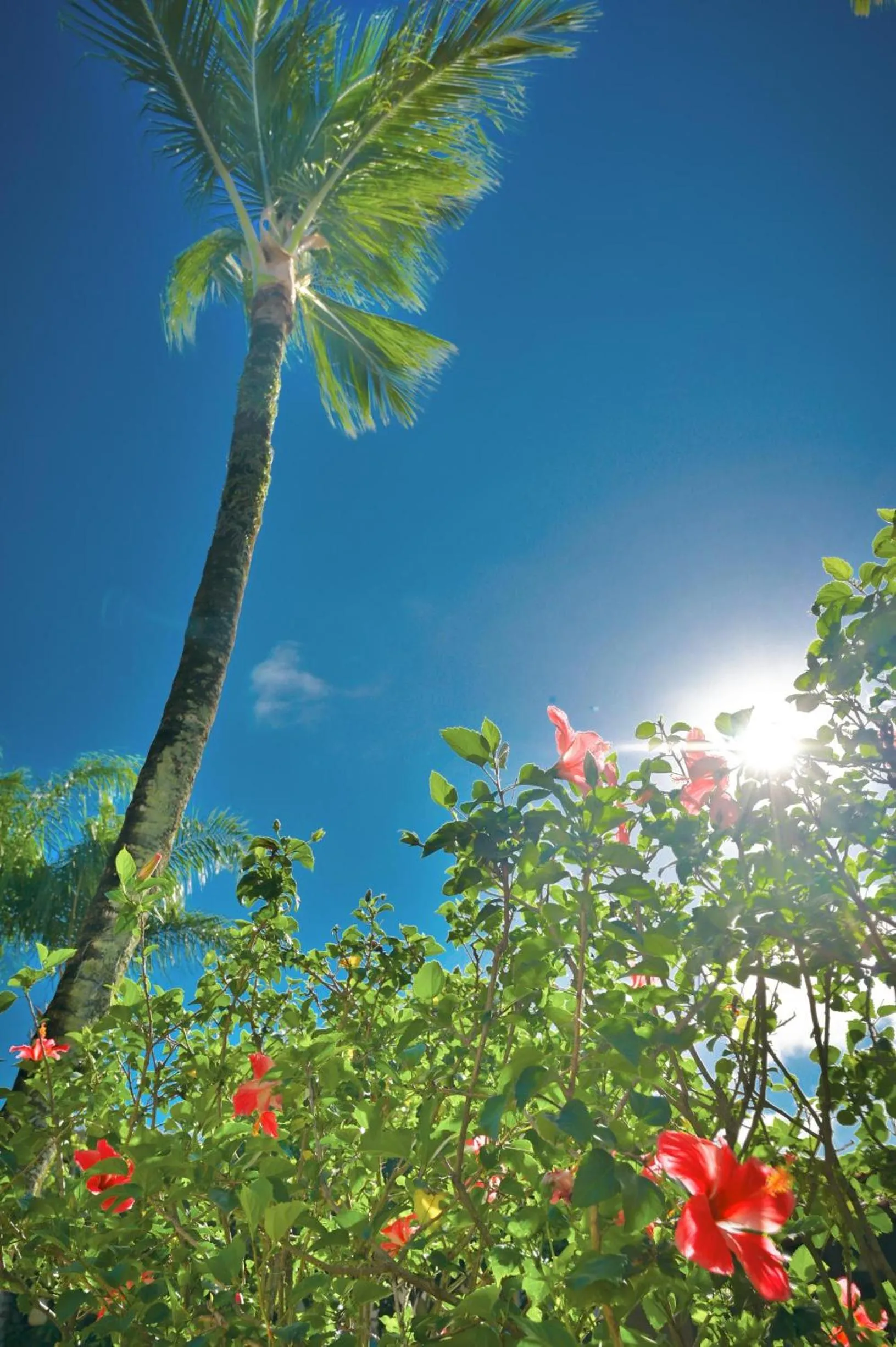 Ayla Praia Hotel Centro Porto Segur