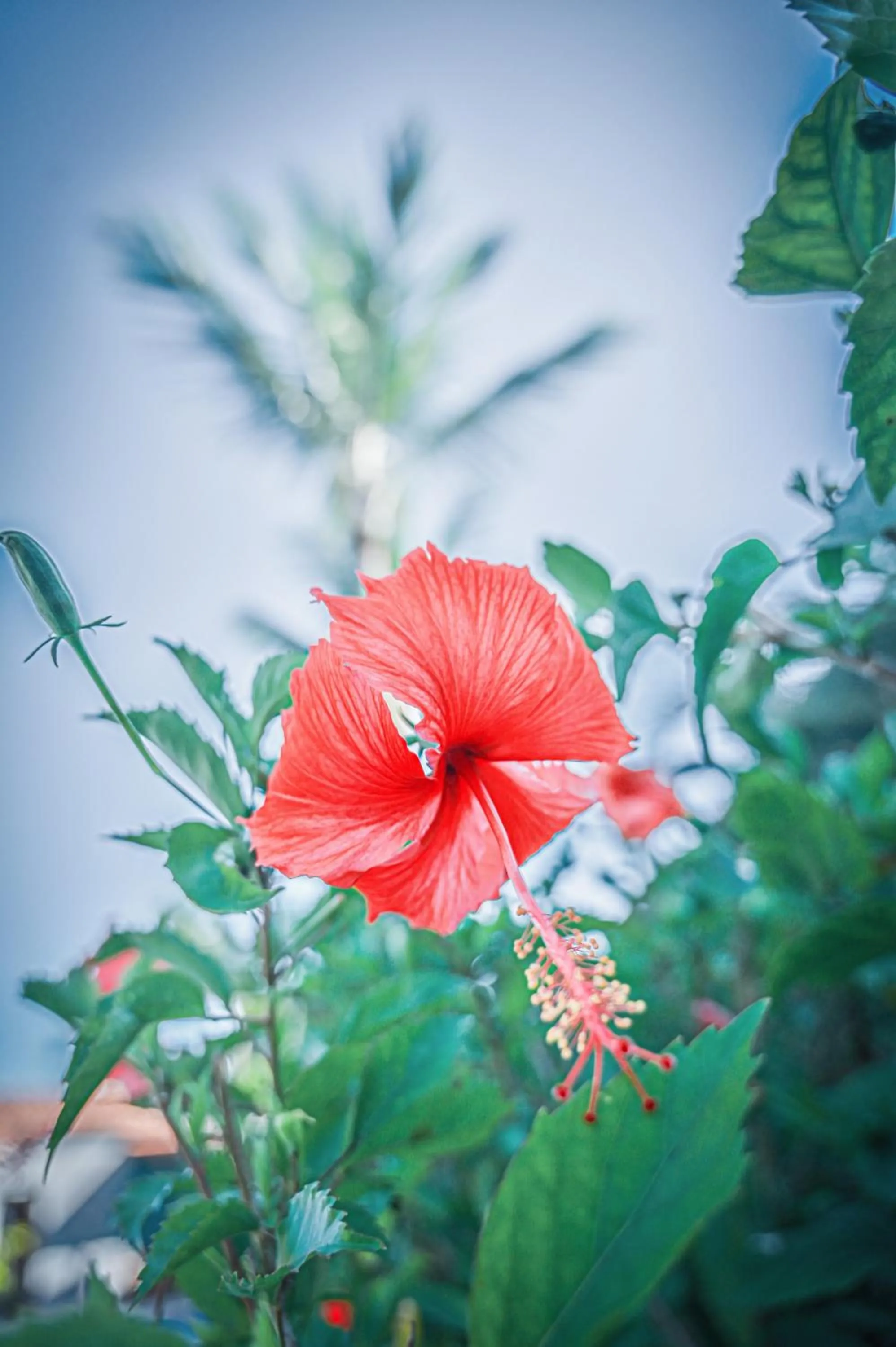 Ayla Praia Hotel Centro Porto Segur