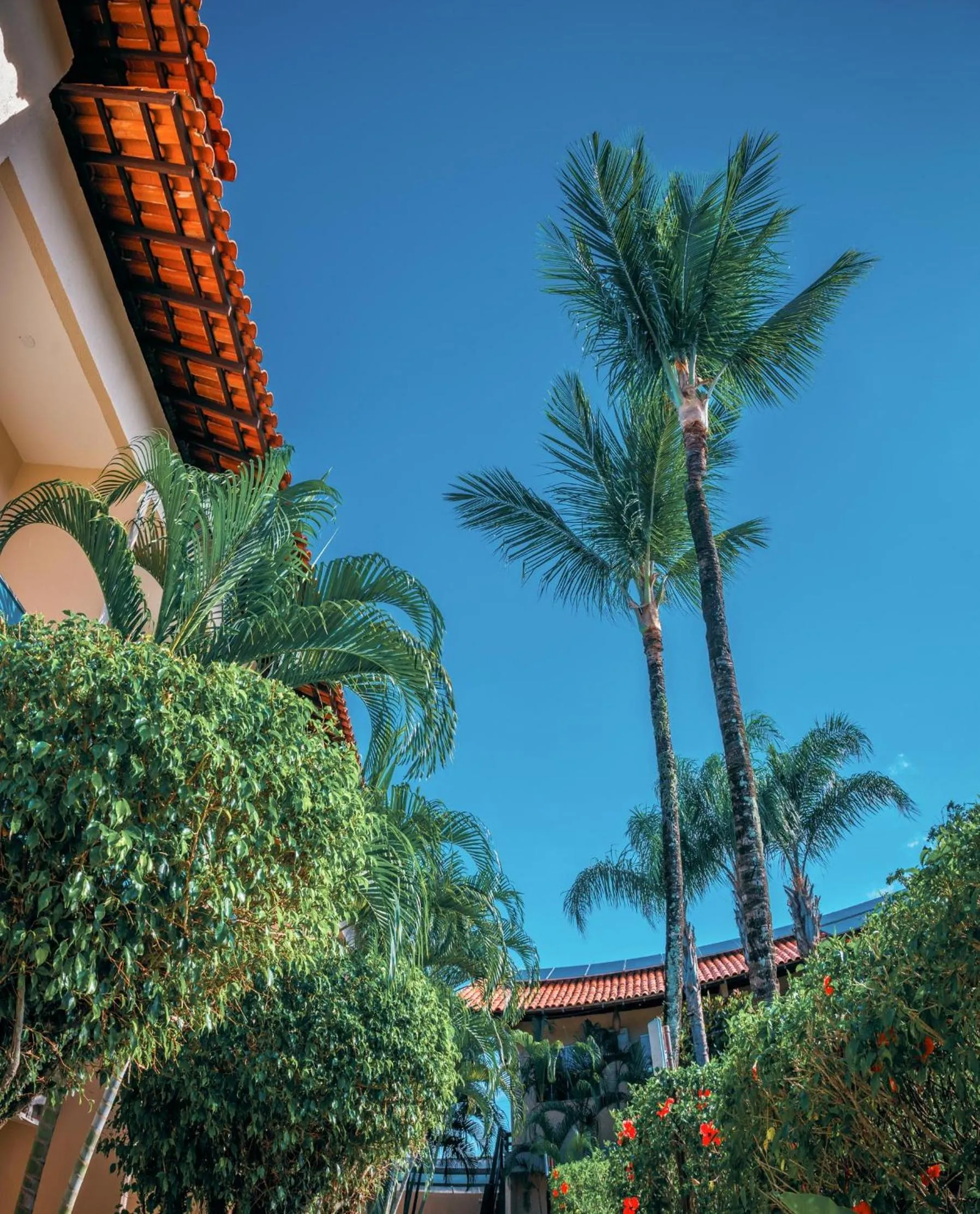 Ayla Praia Hotel Centro Porto Segur