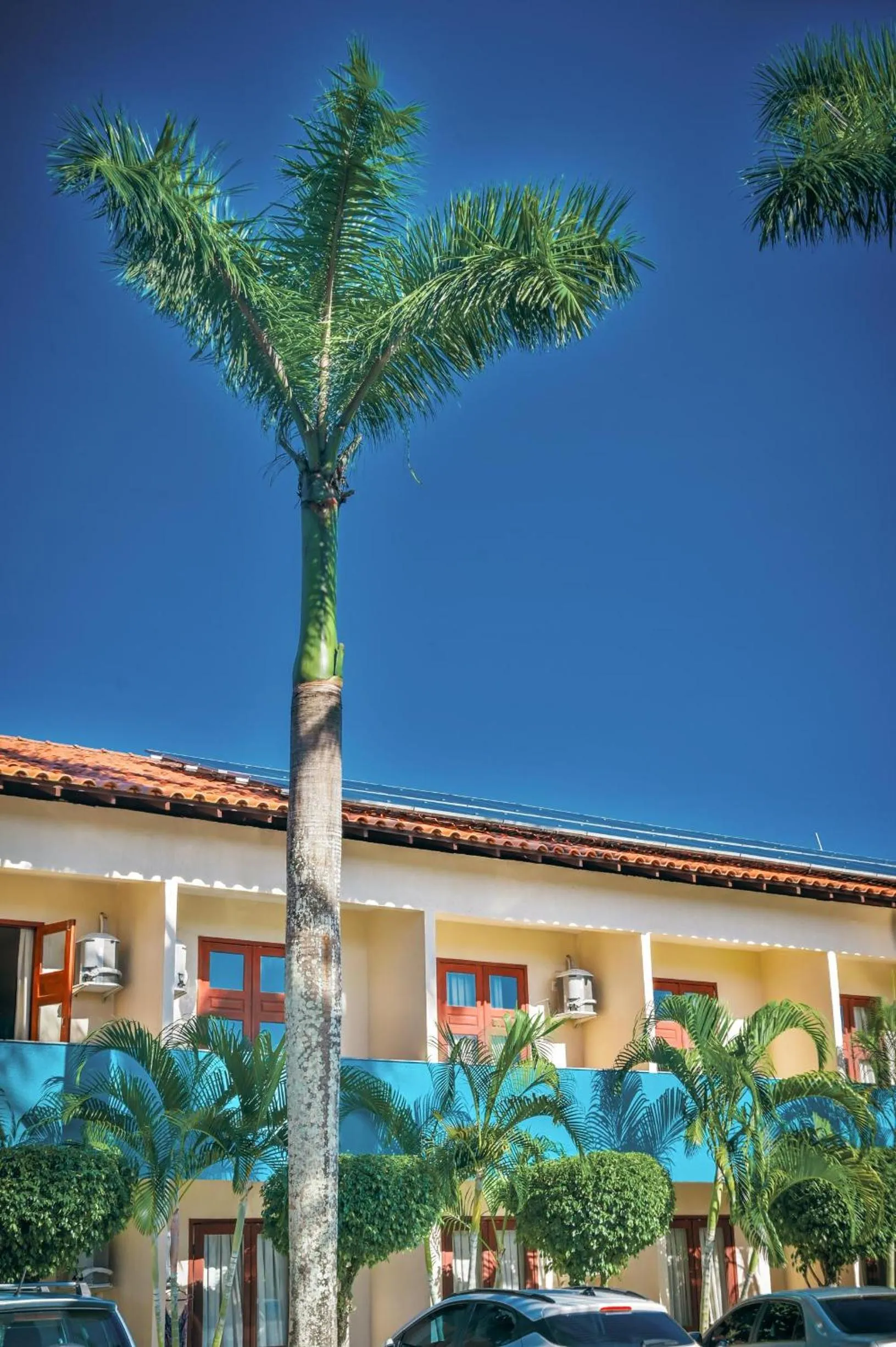 Ayla Praia Hotel Centro Porto Segur