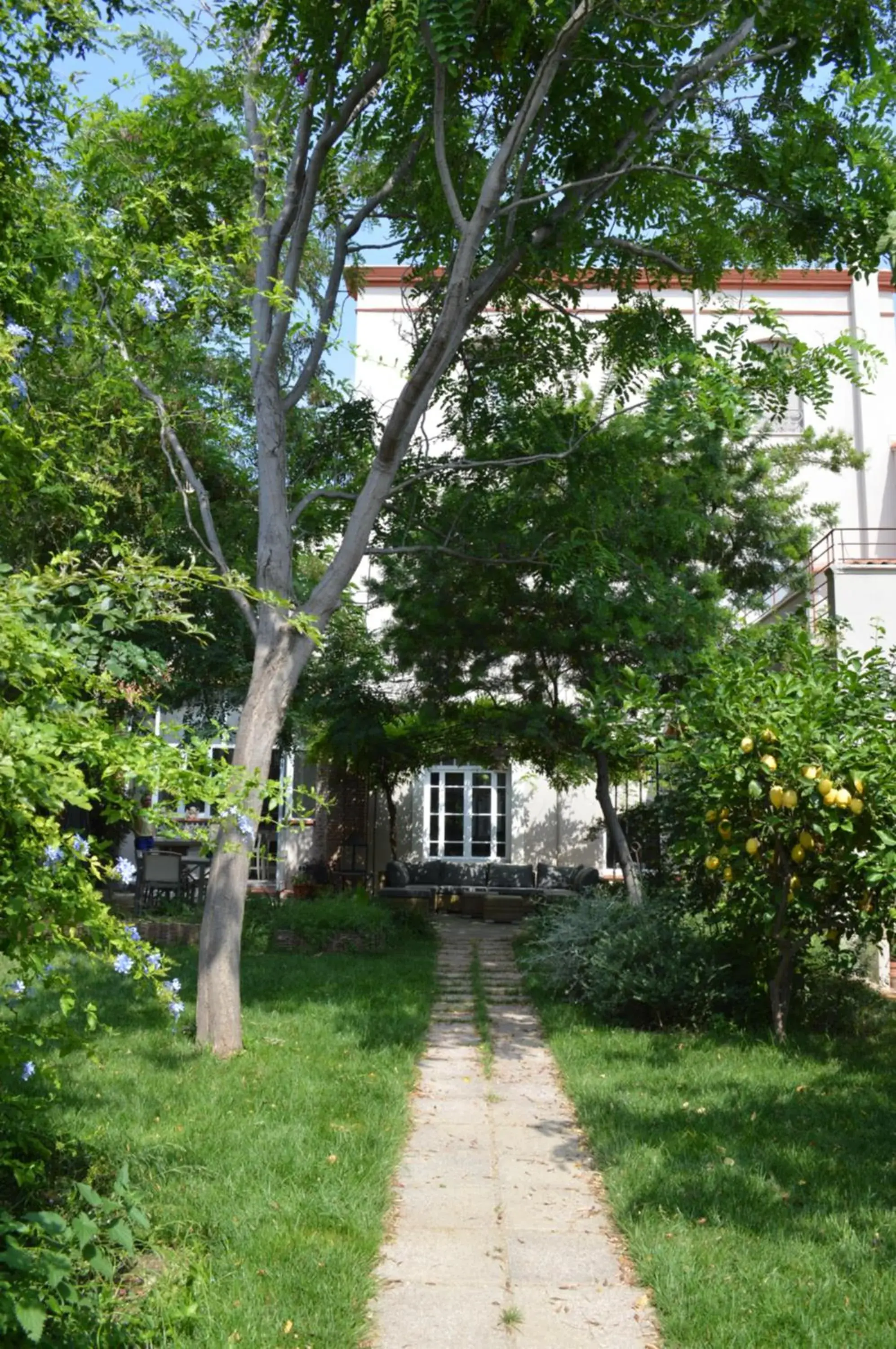La maison d'Antoine Rivesaltes La maison d'Antoine Rivesaltes