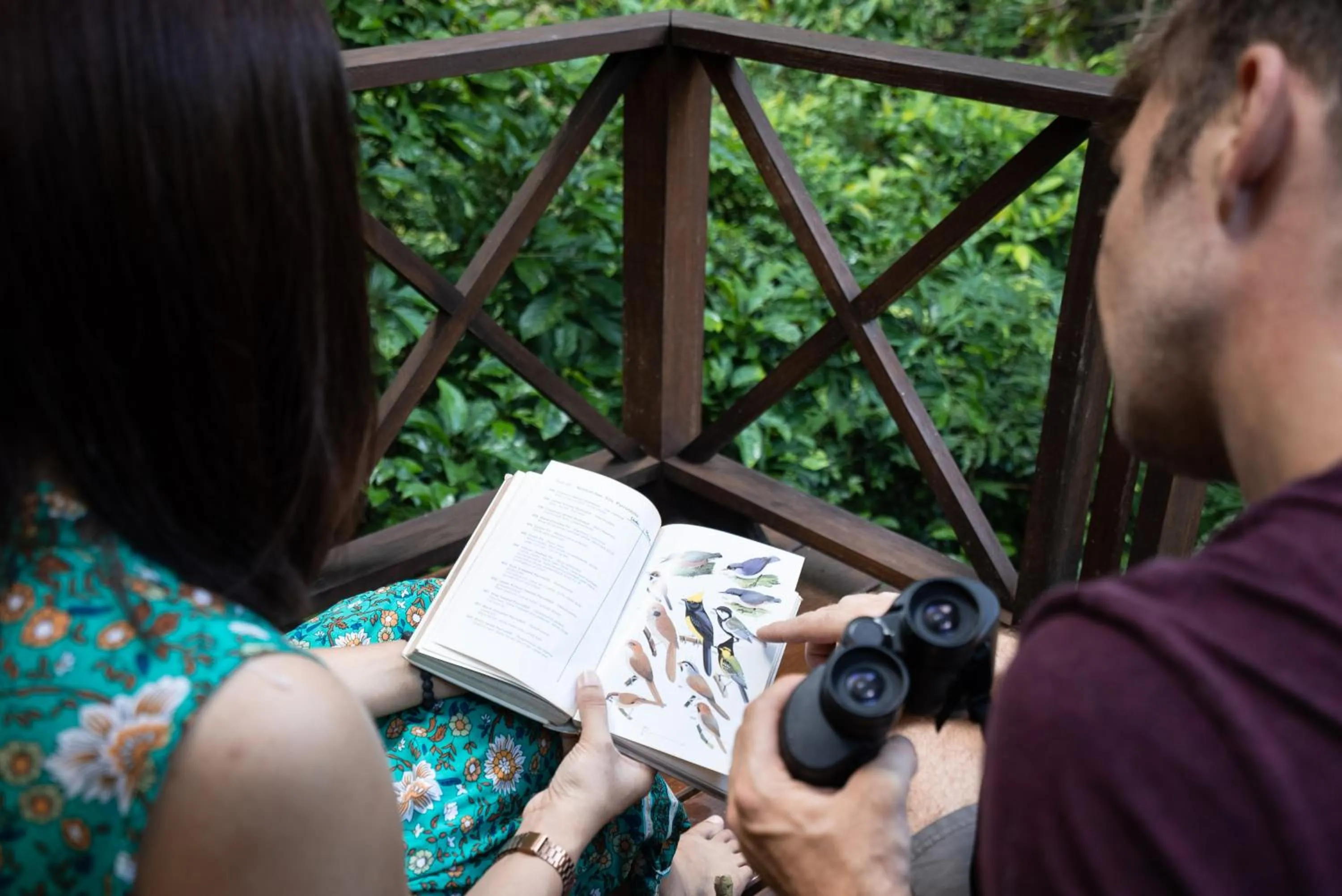 Balcony/Terrace in Our Jungle House