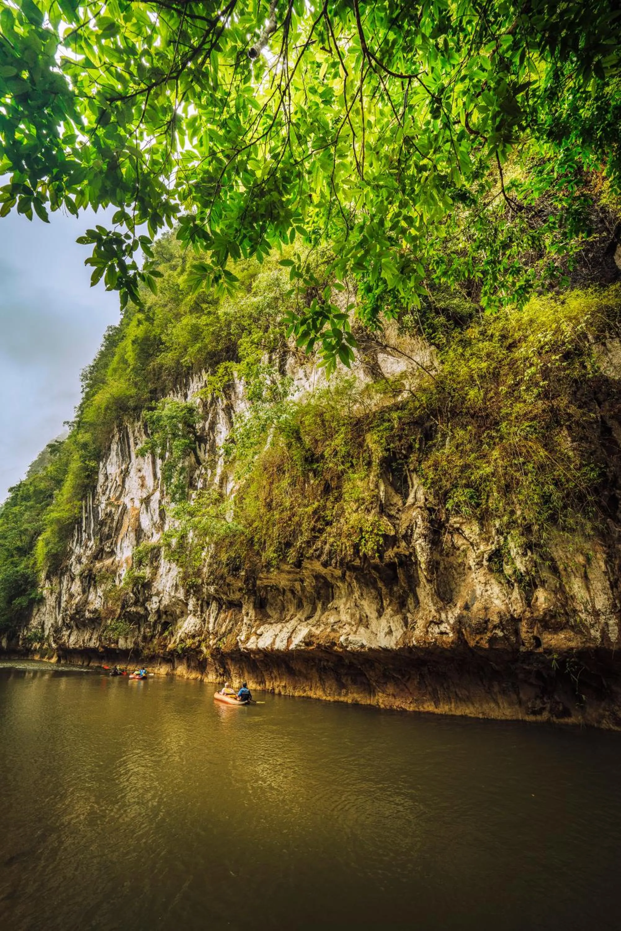 Natural landscape in Our Jungle House