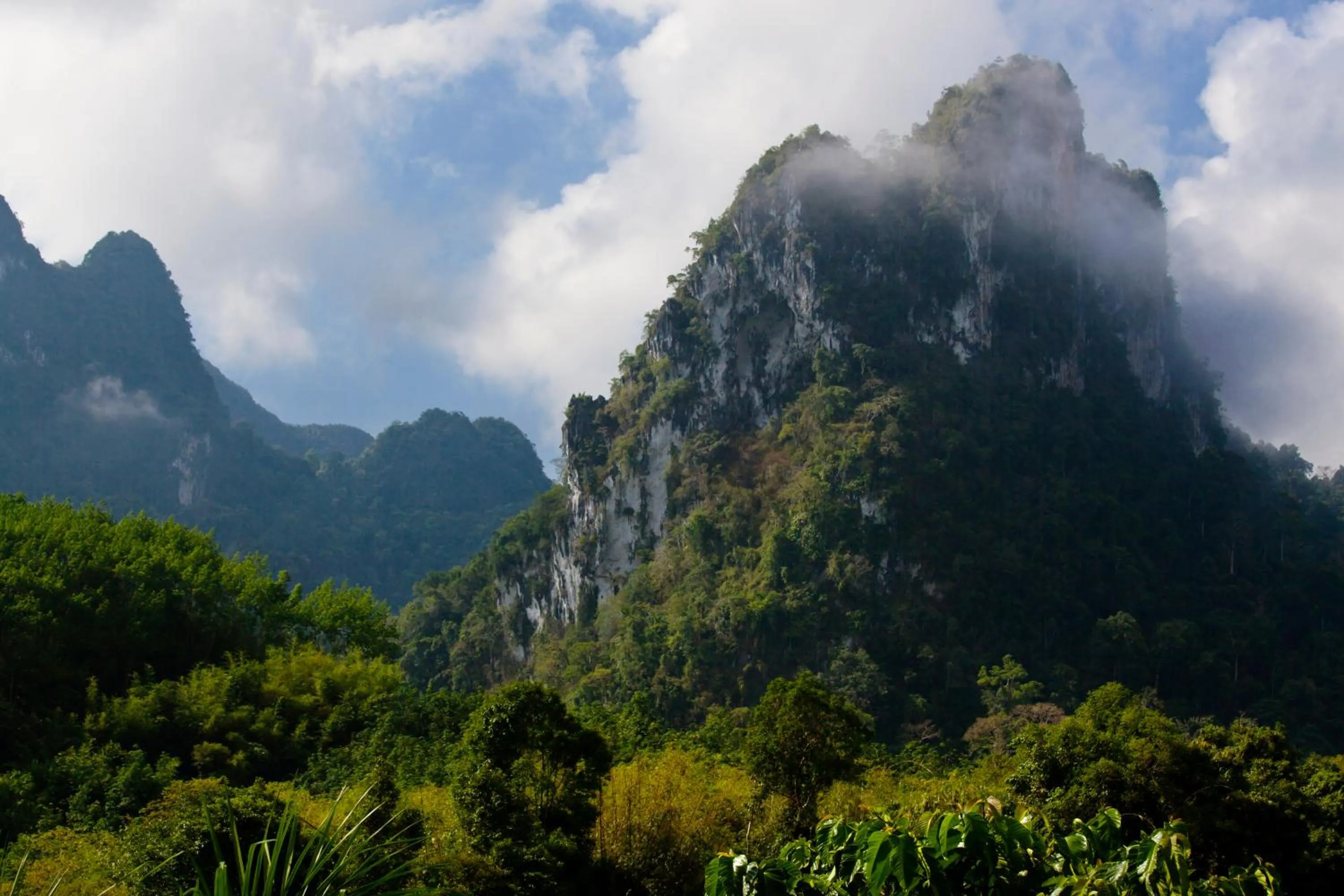 Natural landscape in Our Jungle House