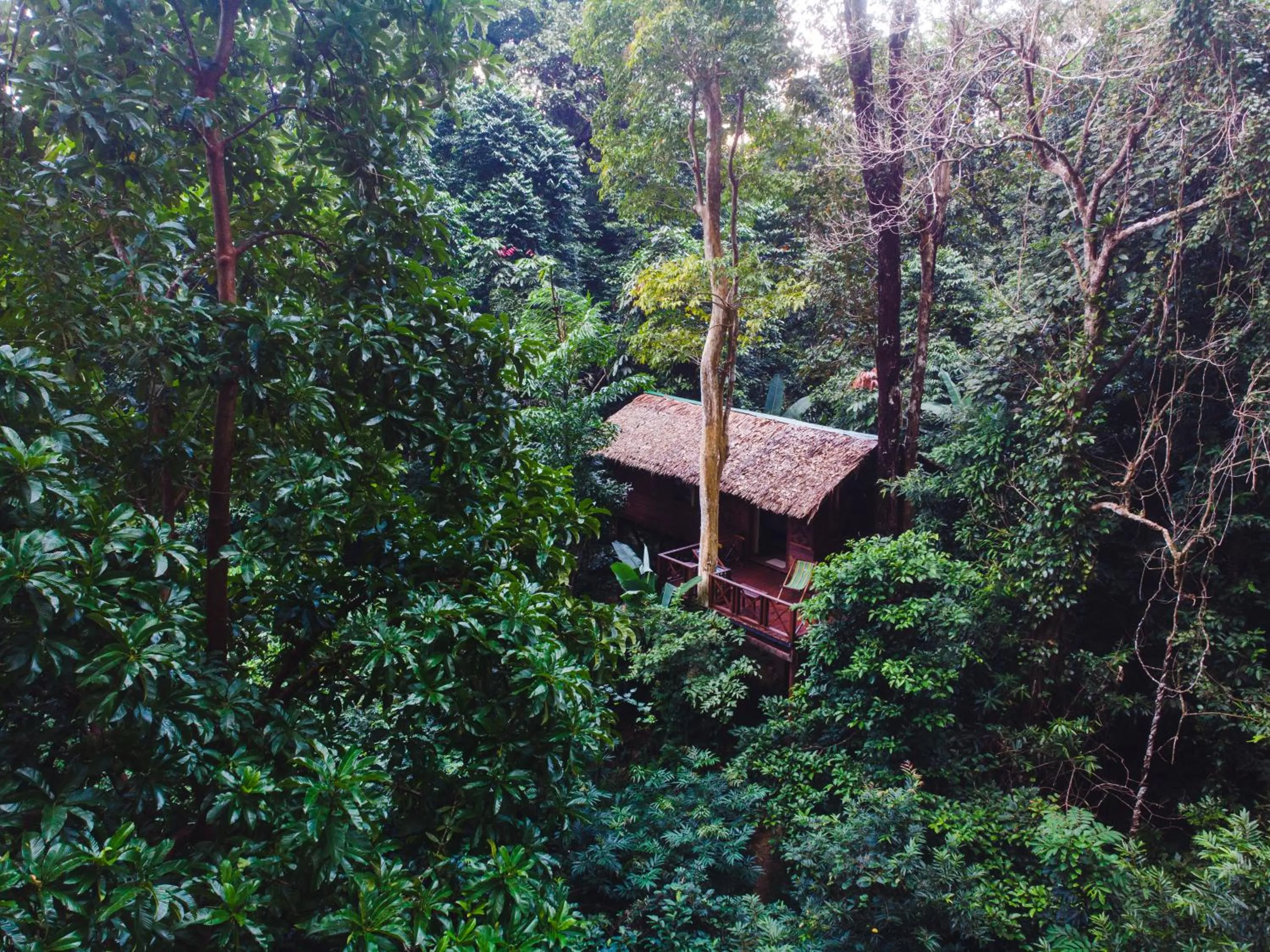 Natural landscape in Our Jungle House