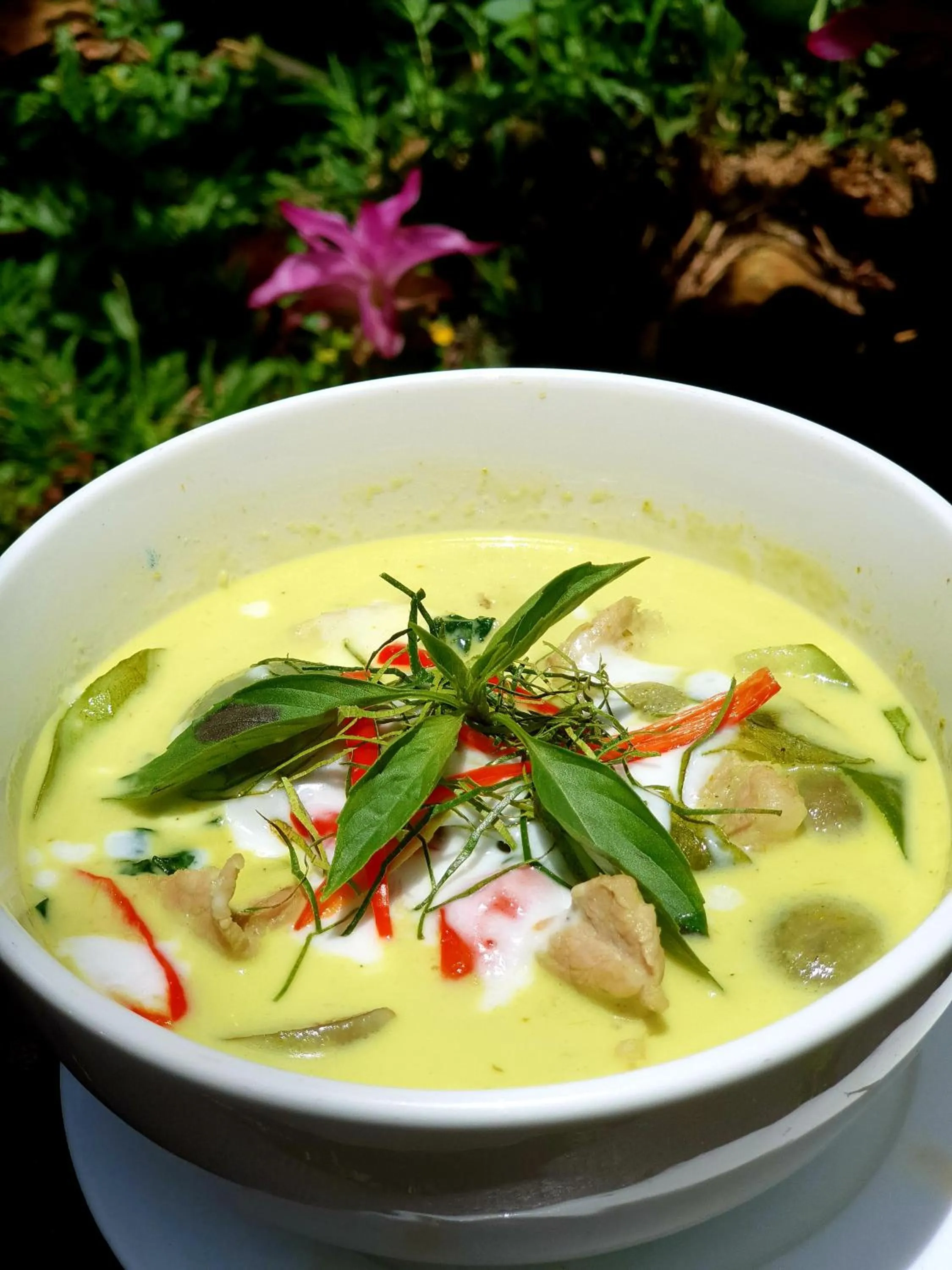 Food in Our Jungle House